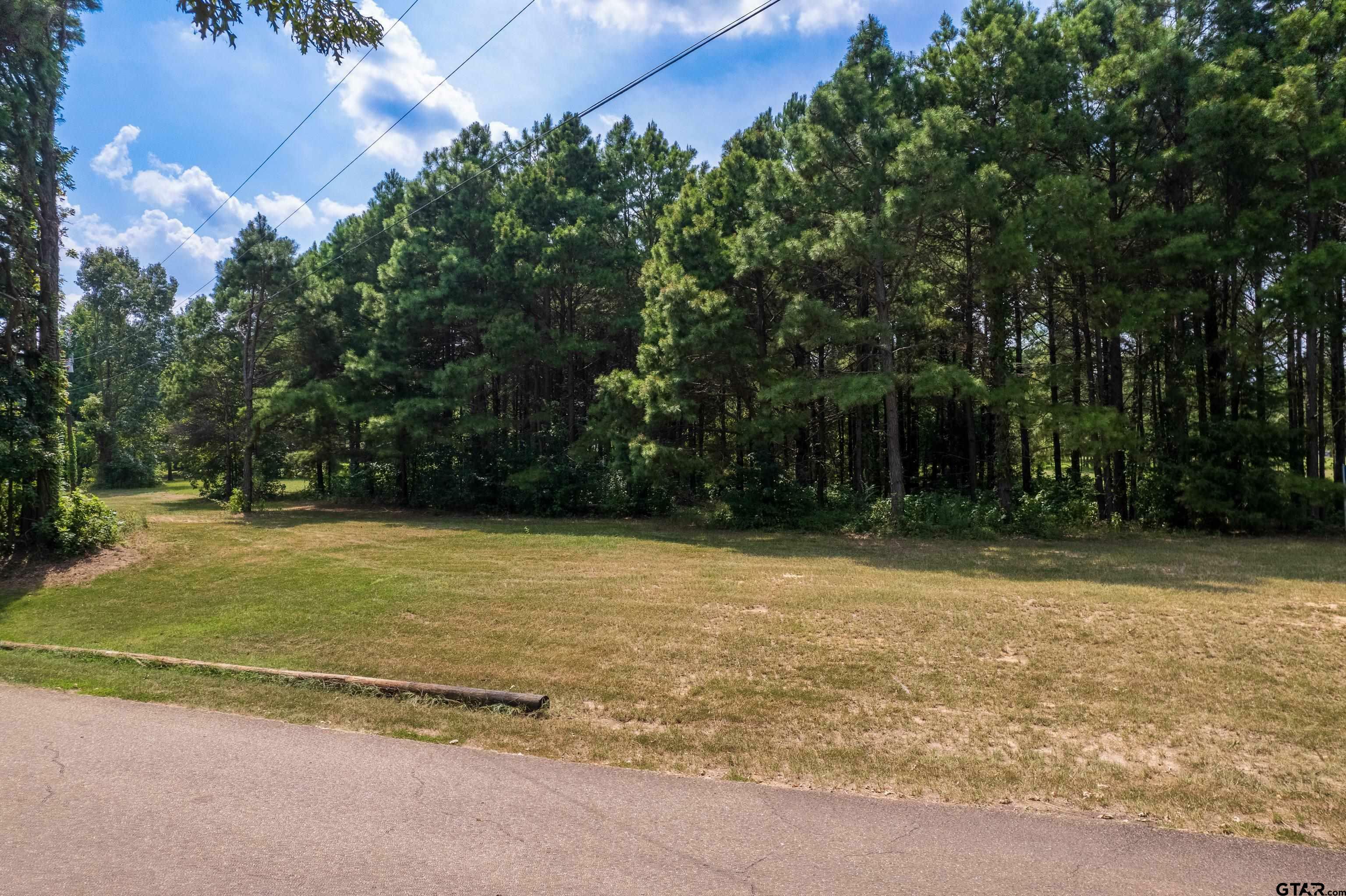 Property Photo:  Lot 5 SW 2940  TX 75686 