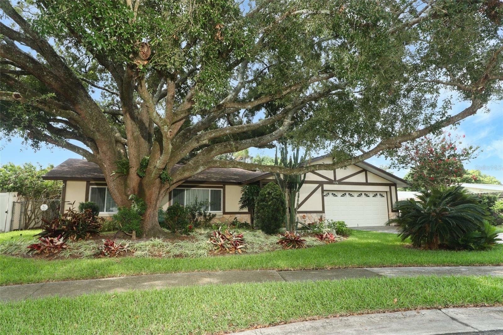 Property Photo:  2508 Osage Trail  FL 32730 