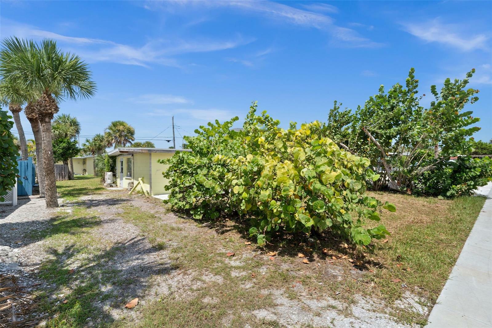 Property Photo:  1240 Gulf Boulevard  FL 34223 