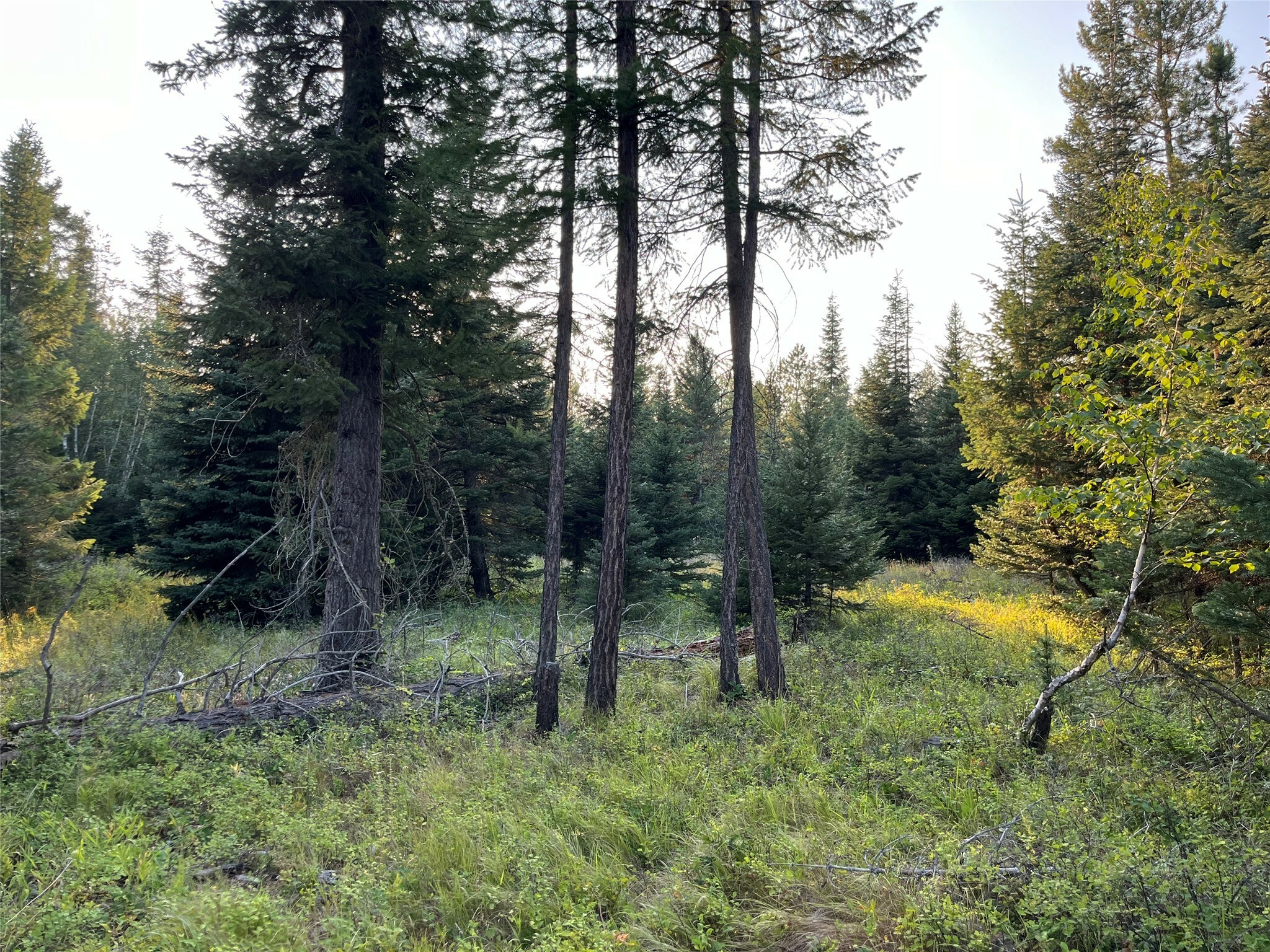 Property Photo:  1067 Larch Ridge Trail  MT 59912 