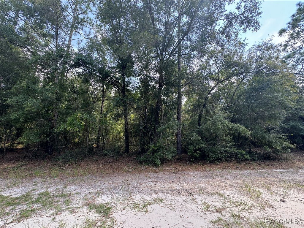 Property Photo:  8178 W Napoli Lane  FL 34428 