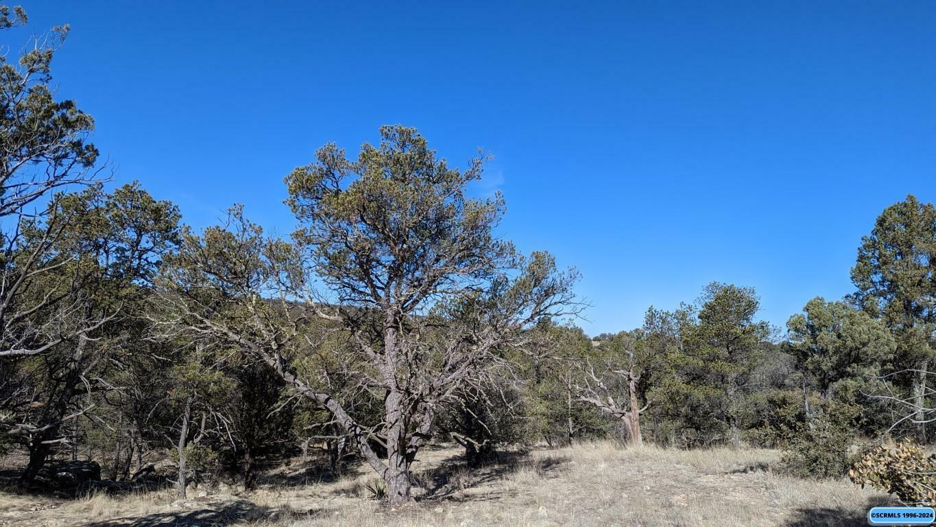 Property Photo:  1xxx Old Telegraph Ridge Road  NM 88061 