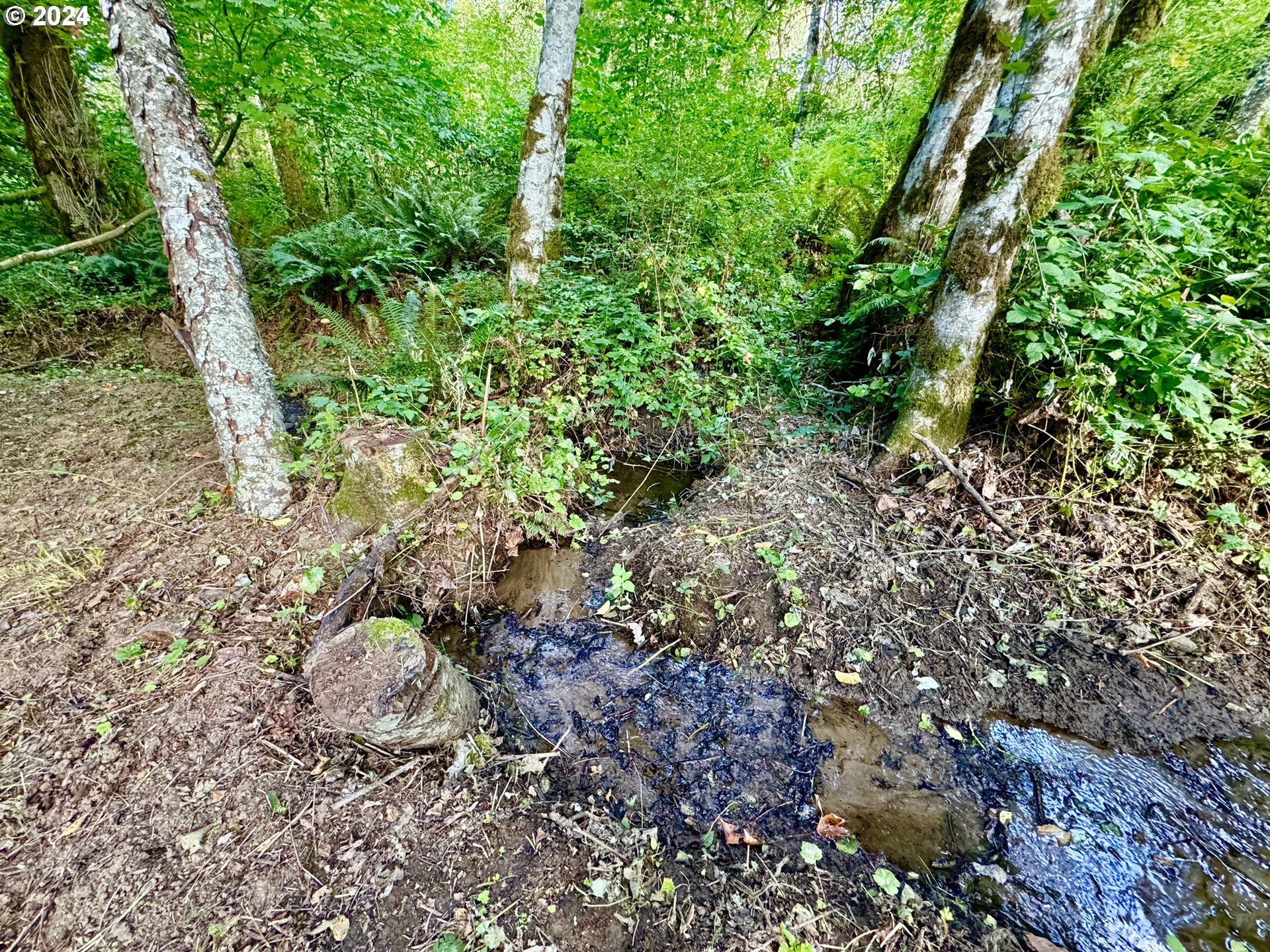 Property Photo:  5916 NE 315th St  WA 98629 