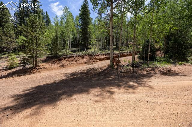 Property Photo:  416 Willow Road  CO 80814 