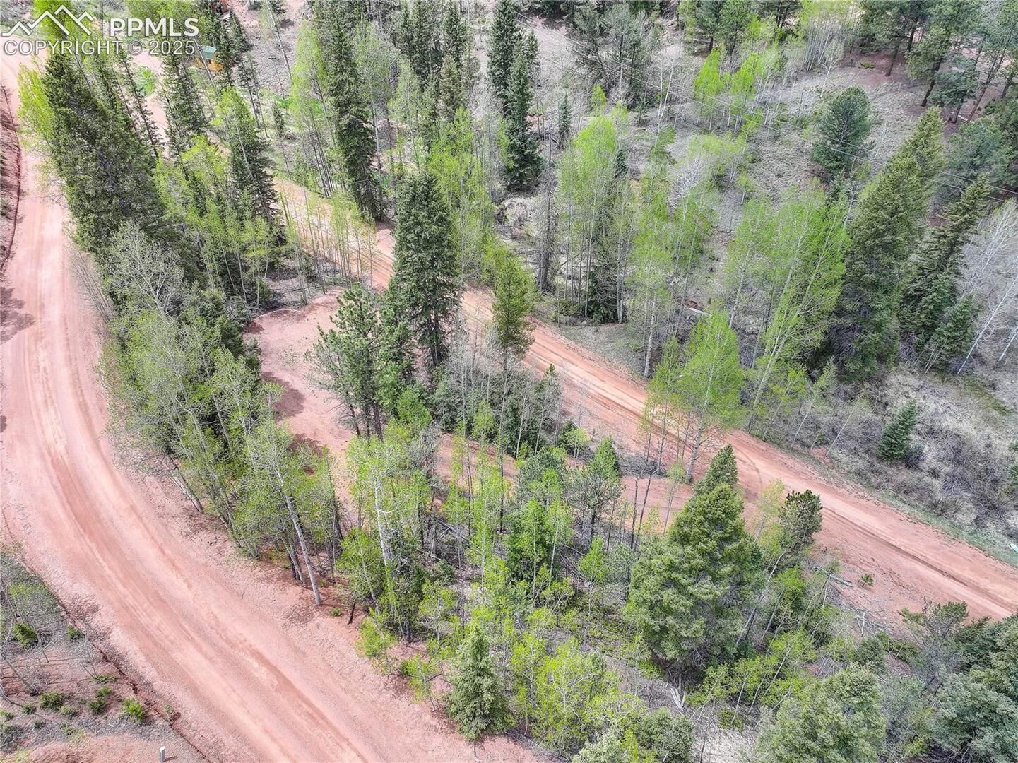 Property Photo:  416 Willow Road  CO 80814 