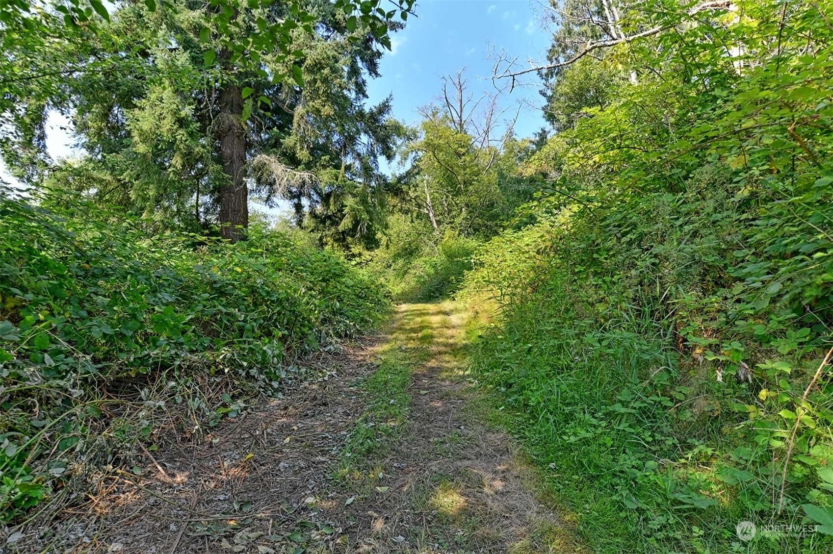 Property Photo:  4918 6th Ave NW  WA 98271 