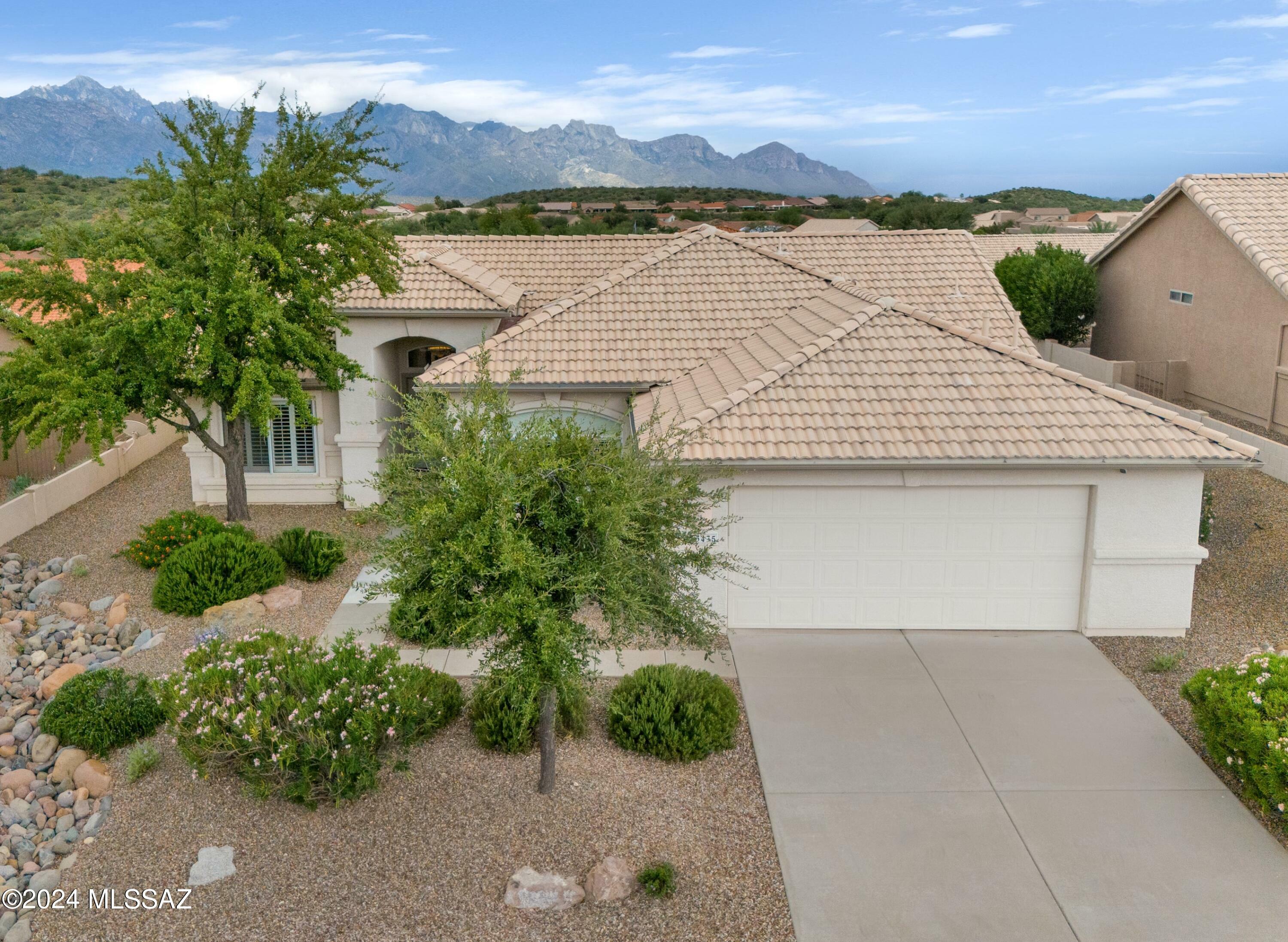 63435 E Squash Blossom Lane  Saddlebrooke AZ 85739 photo