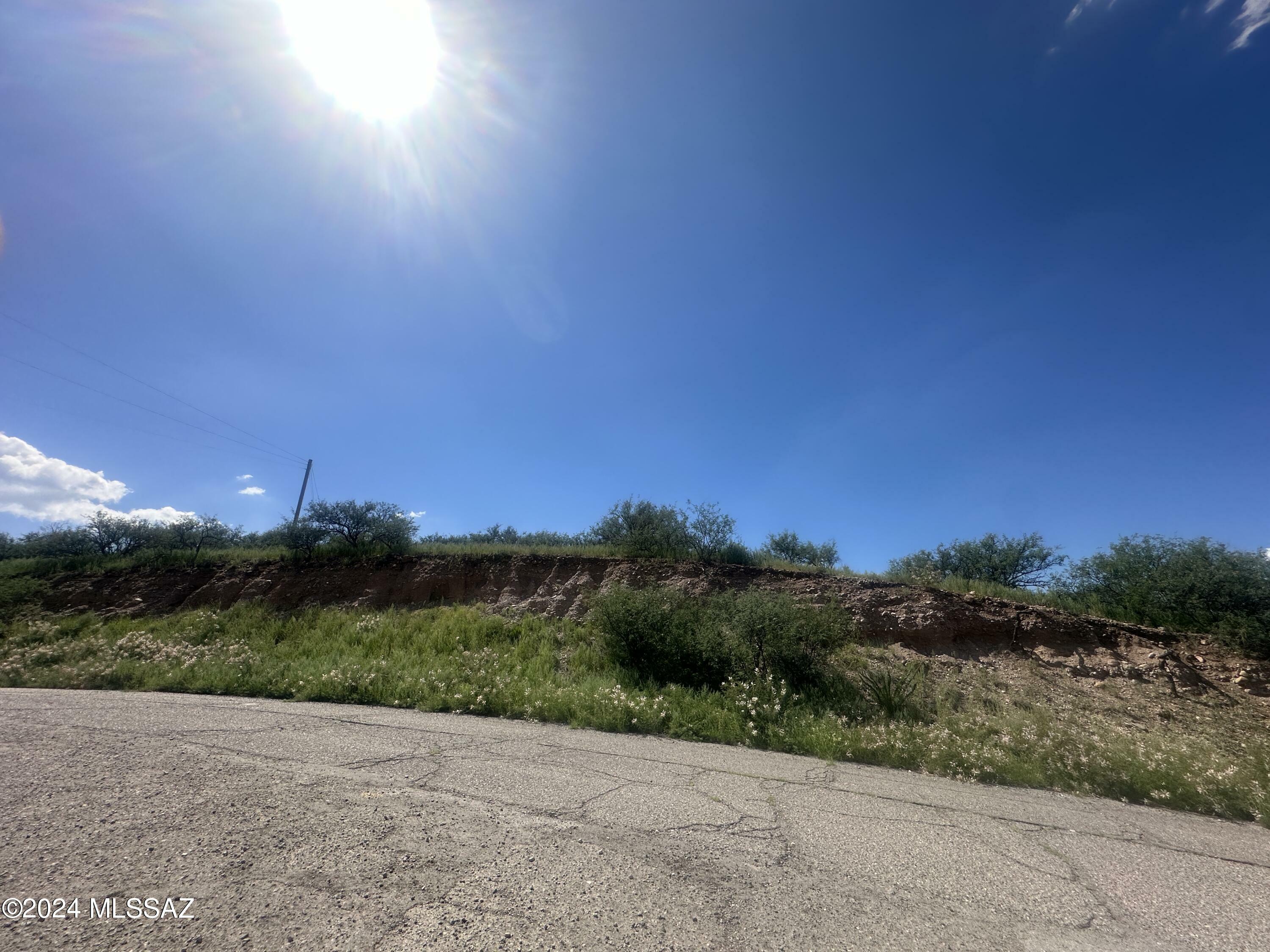 Property Photo:  1161 Corrida De Toros  AZ 85648 