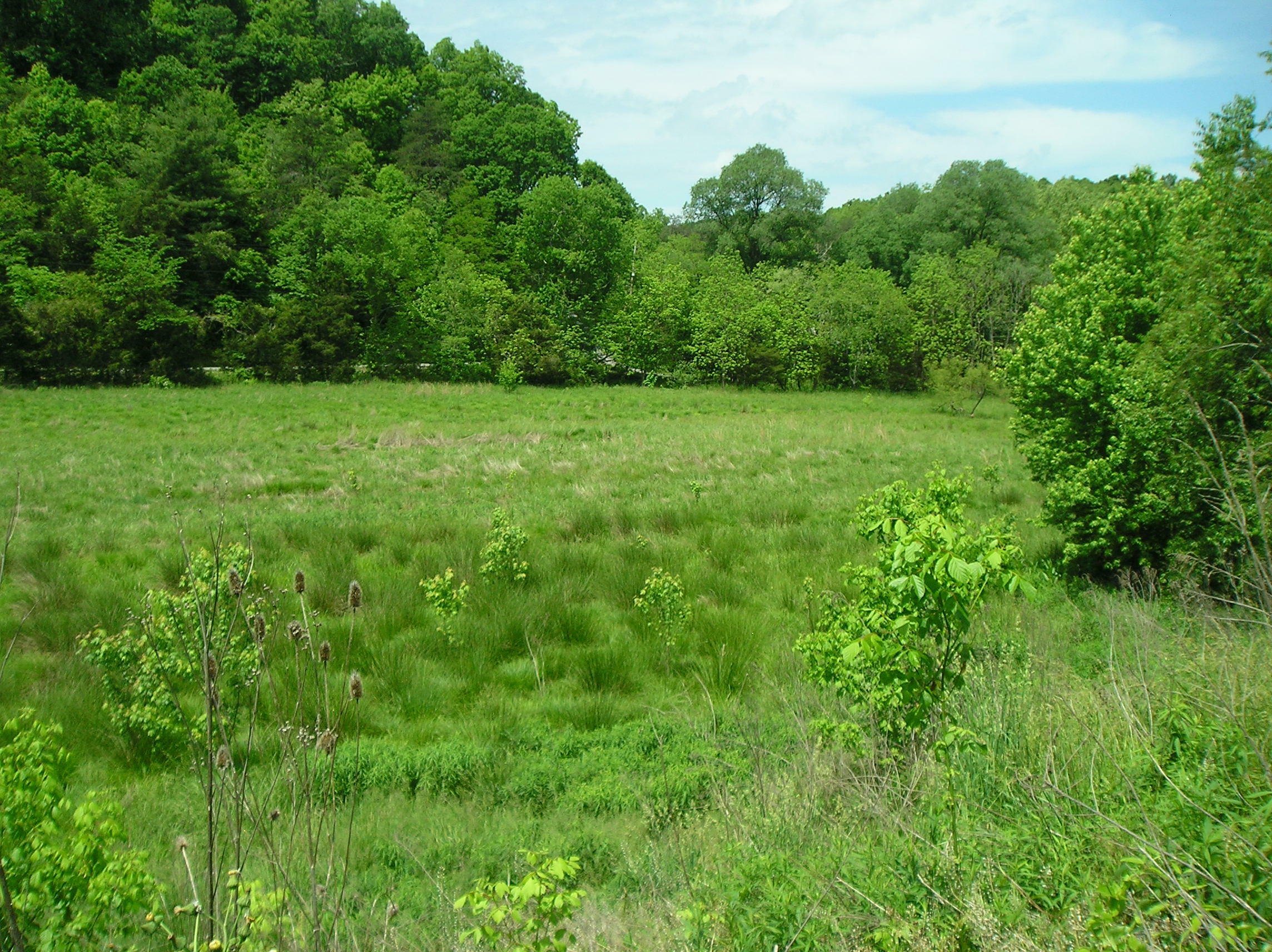 Property Photo:  Tbd Elizabethton Highway  TN 37618 