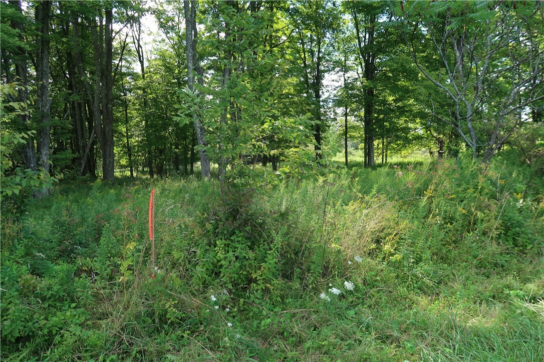 Lot 5 German Road  Willet NY 13863 photo