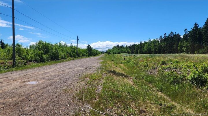 4034sm1de4 Rue Alfreda — photo 1