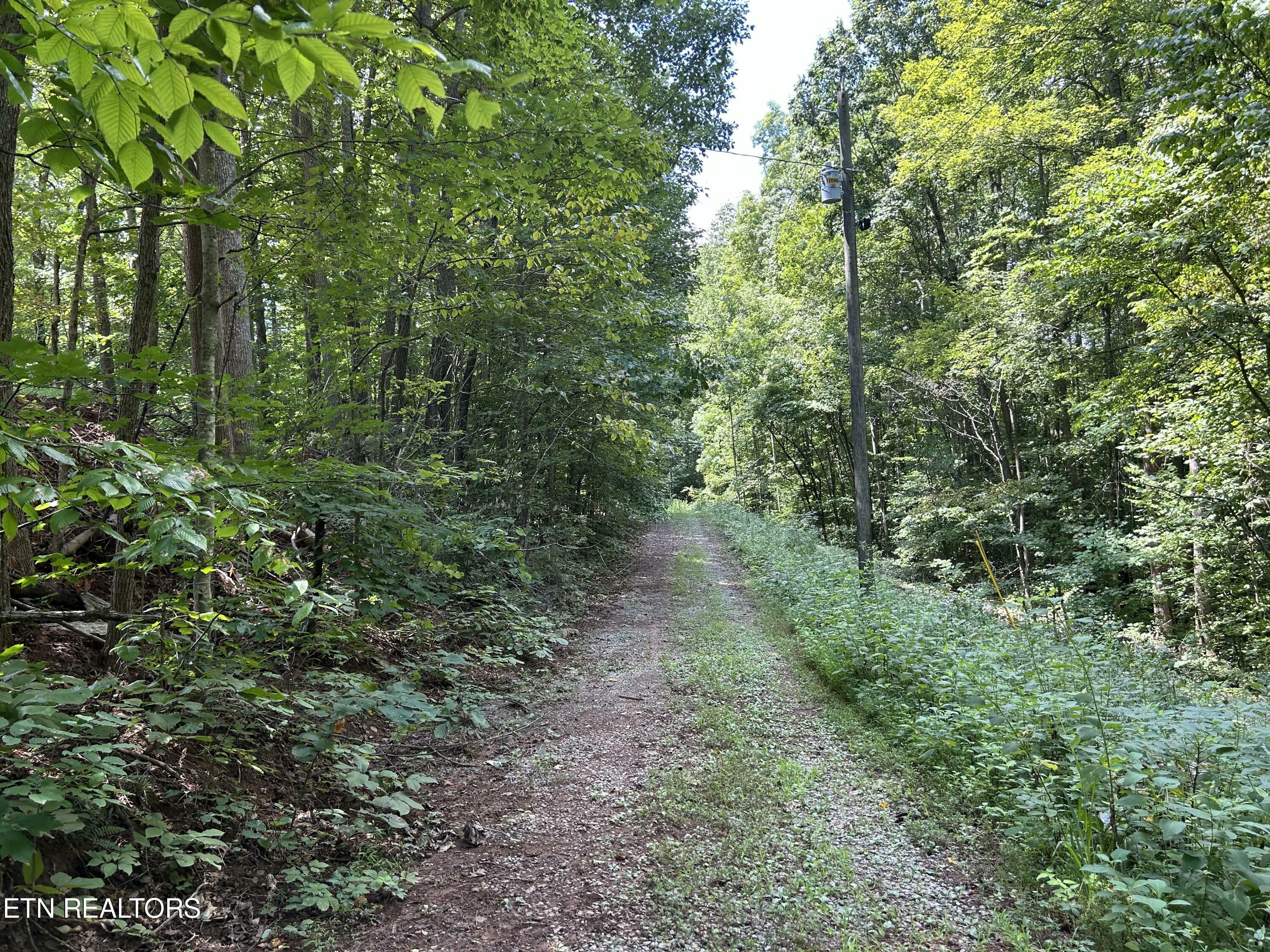 Property Photo:  Pearl Ln Lot 25&5 Lane  TN 37807 