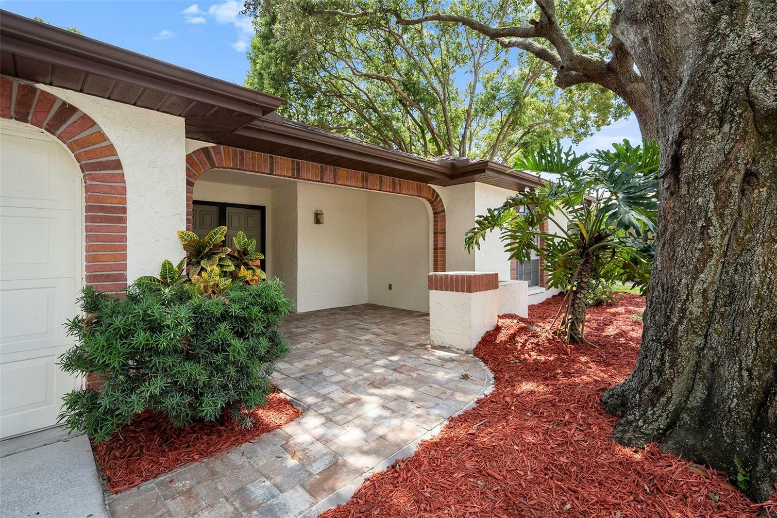 Property Photo:  1426 Wicklow Drive  FL 34684 