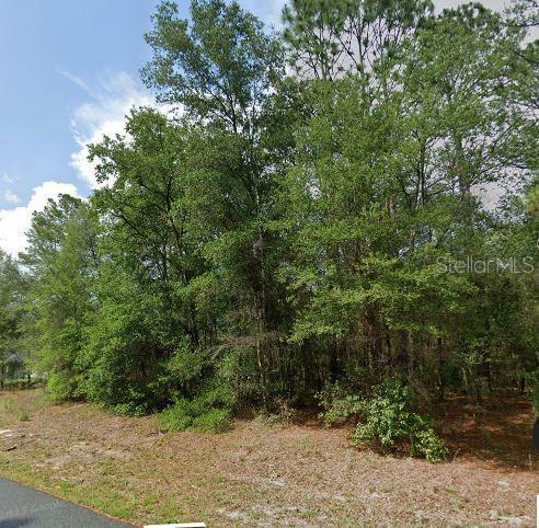 Property Photo:  10969 N Adler Drive  FL 34434 