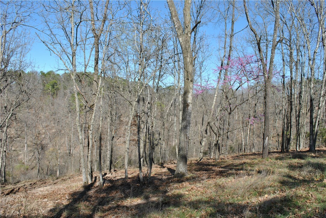 Property Photo:  Lot 102 E Robin Road  AR 72756 