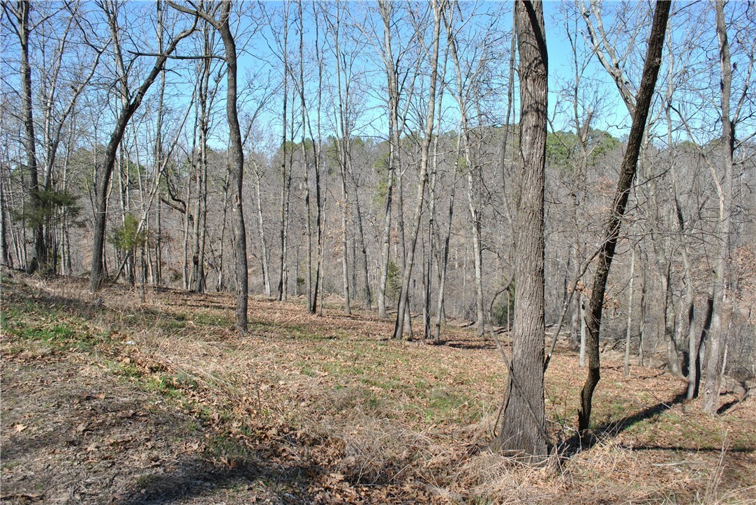 Property Photo:  Lot 103 E Robin Road  AR 72756 