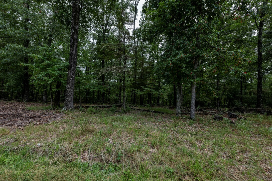 Property Photo:  5.32 Acres Deer Meadow Drive  AR 72732 