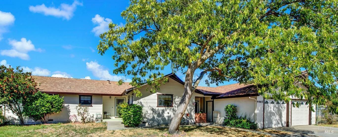 Property Photo:  4465 Olive Avenue  CA 94533 