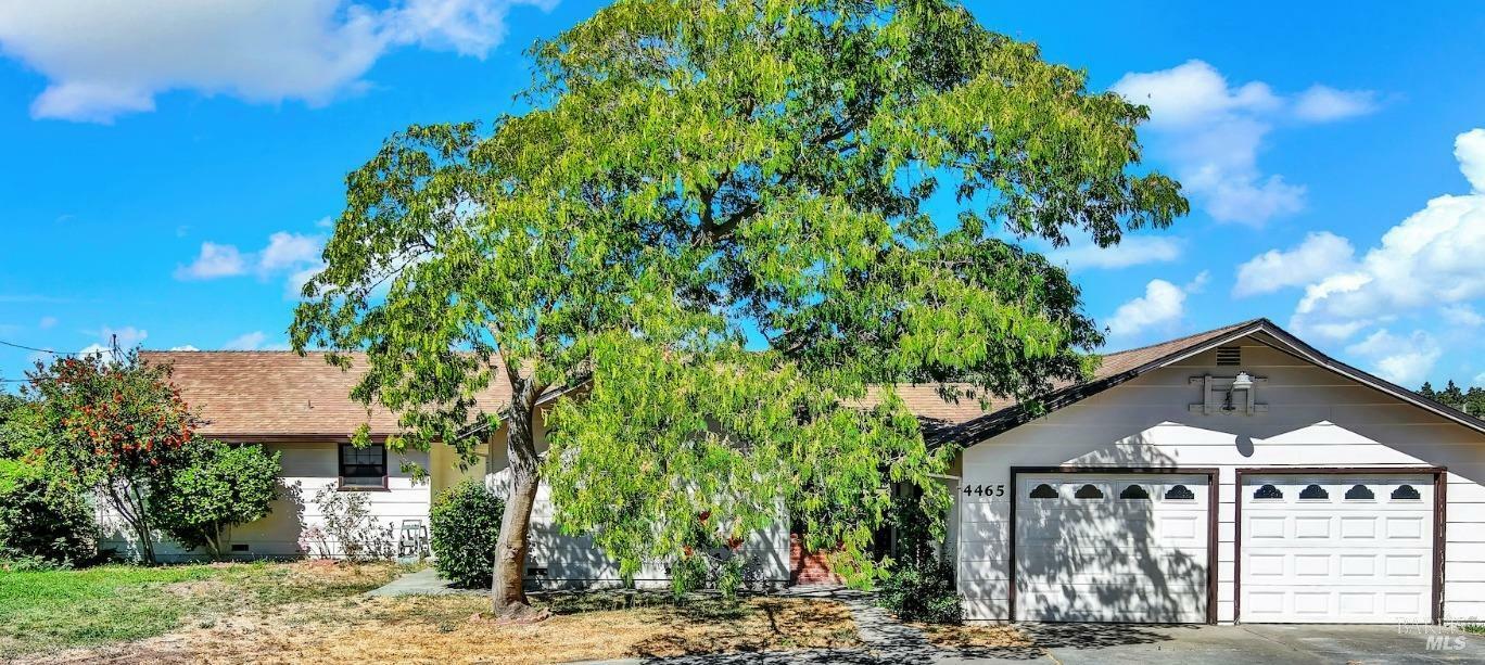 Property Photo:  4465 Olive Avenue  CA 94533 