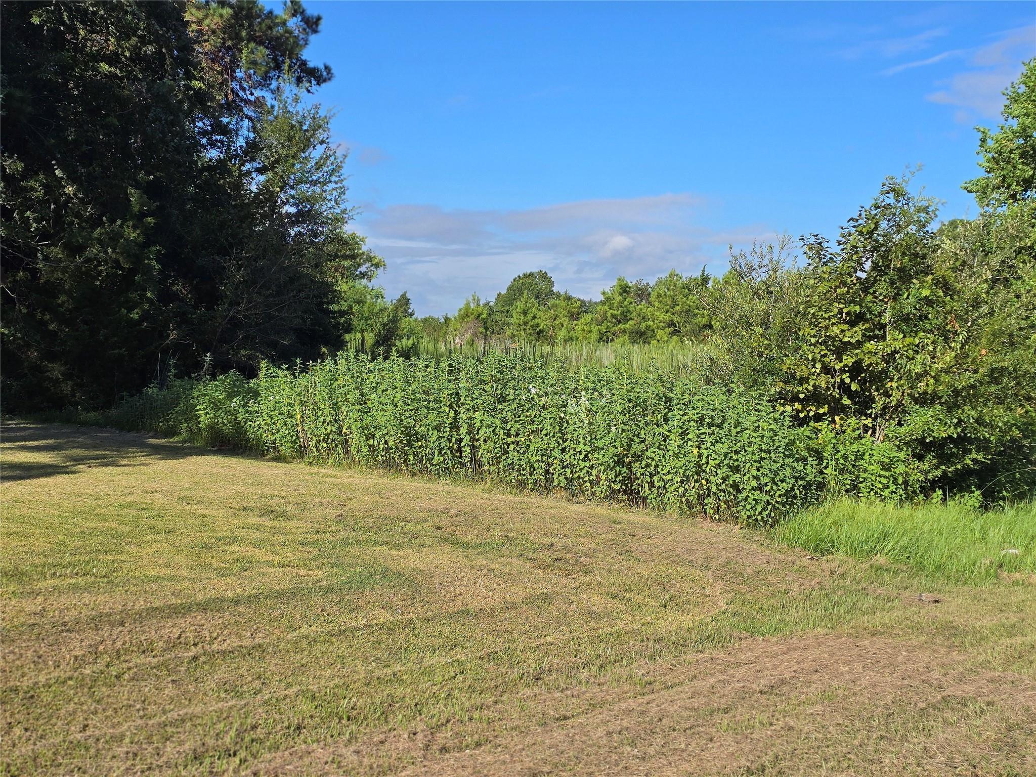 Property Photo: Lot 9 Lewis Creek Circle TX 77318