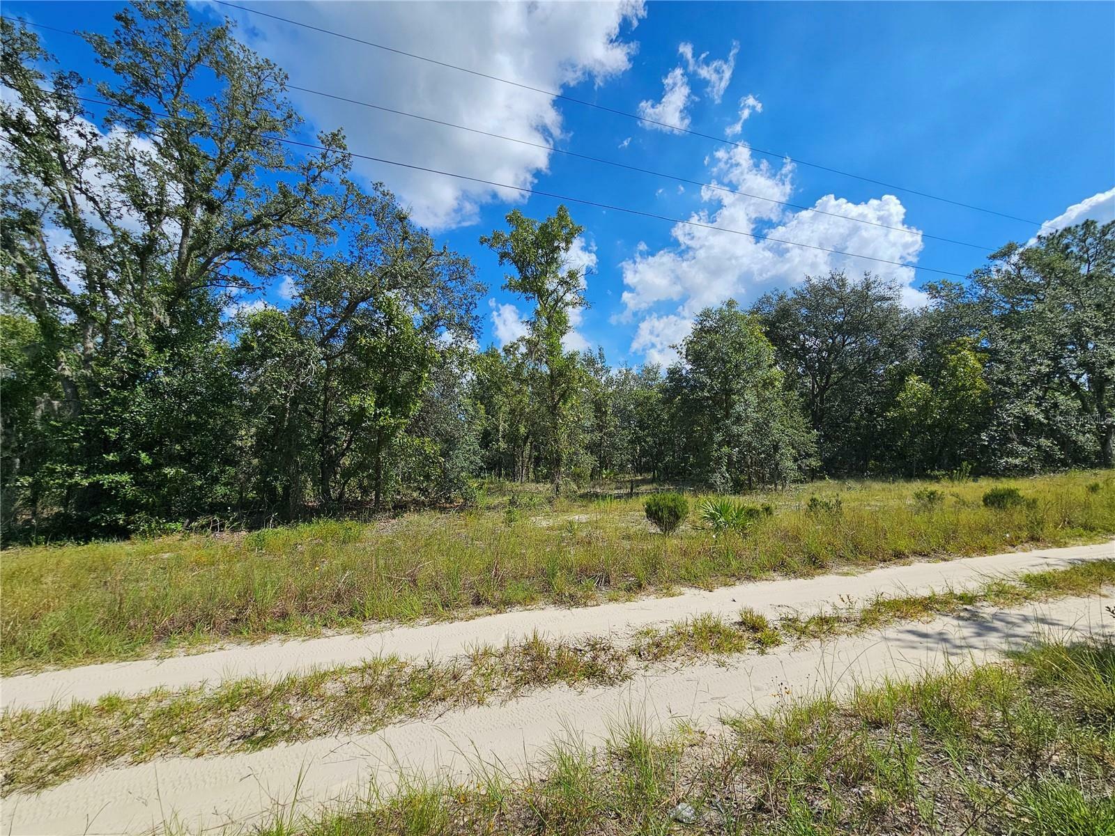 Property Photo:  0 NE 61st Lane  FL 32696 