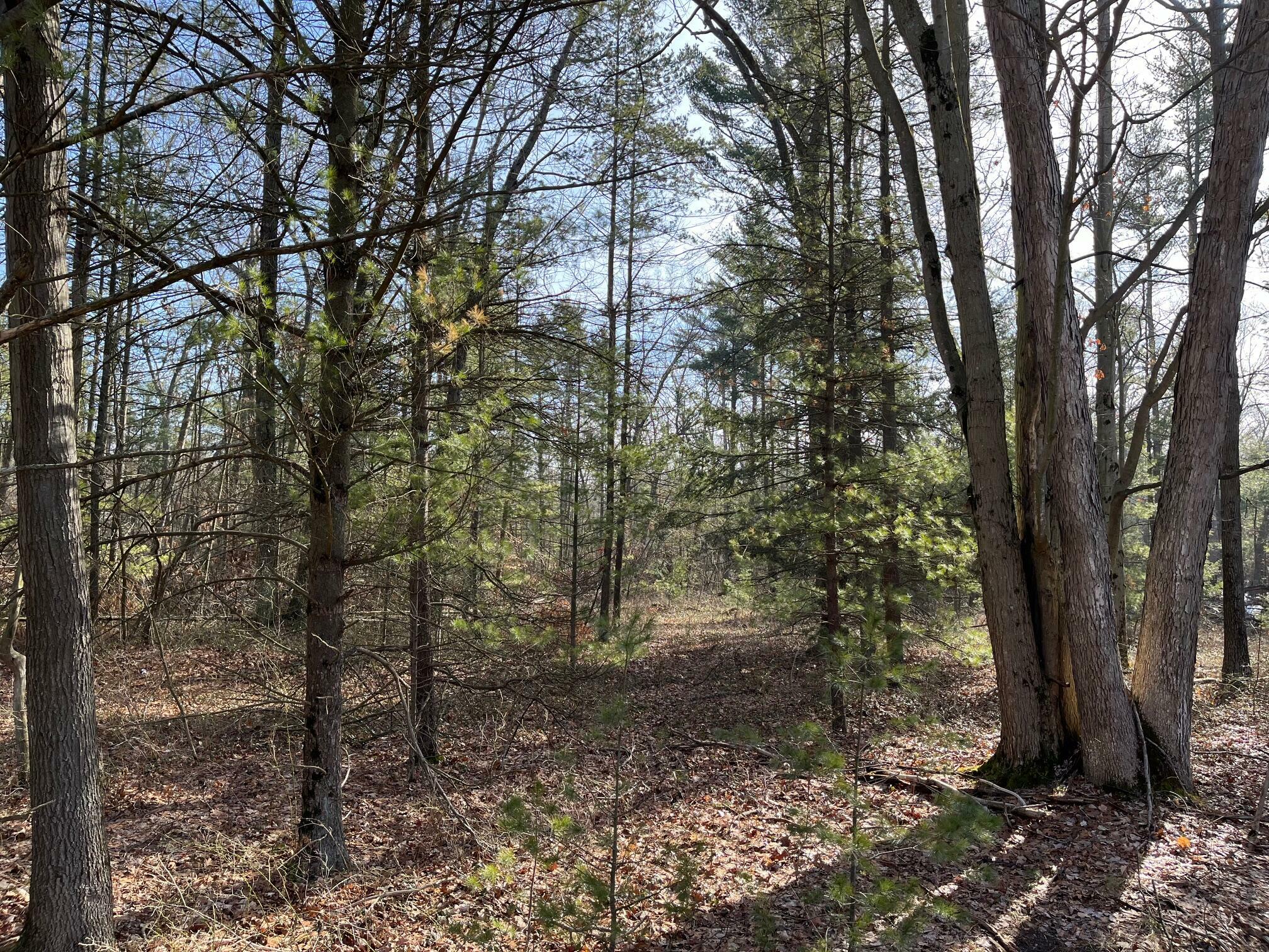 Property Photo:  Vl Fenner Road  MI 49445 