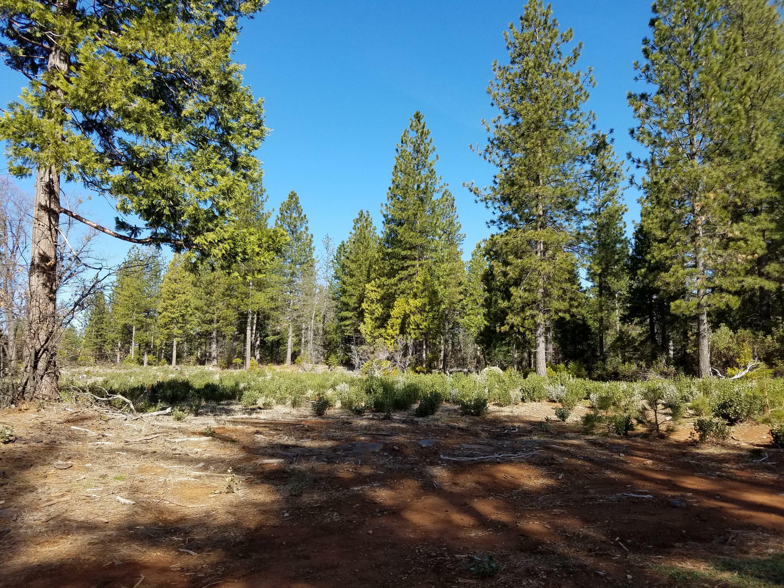 Property Photo:  Lot 32 Shingle Glen Trail  CA 96088 