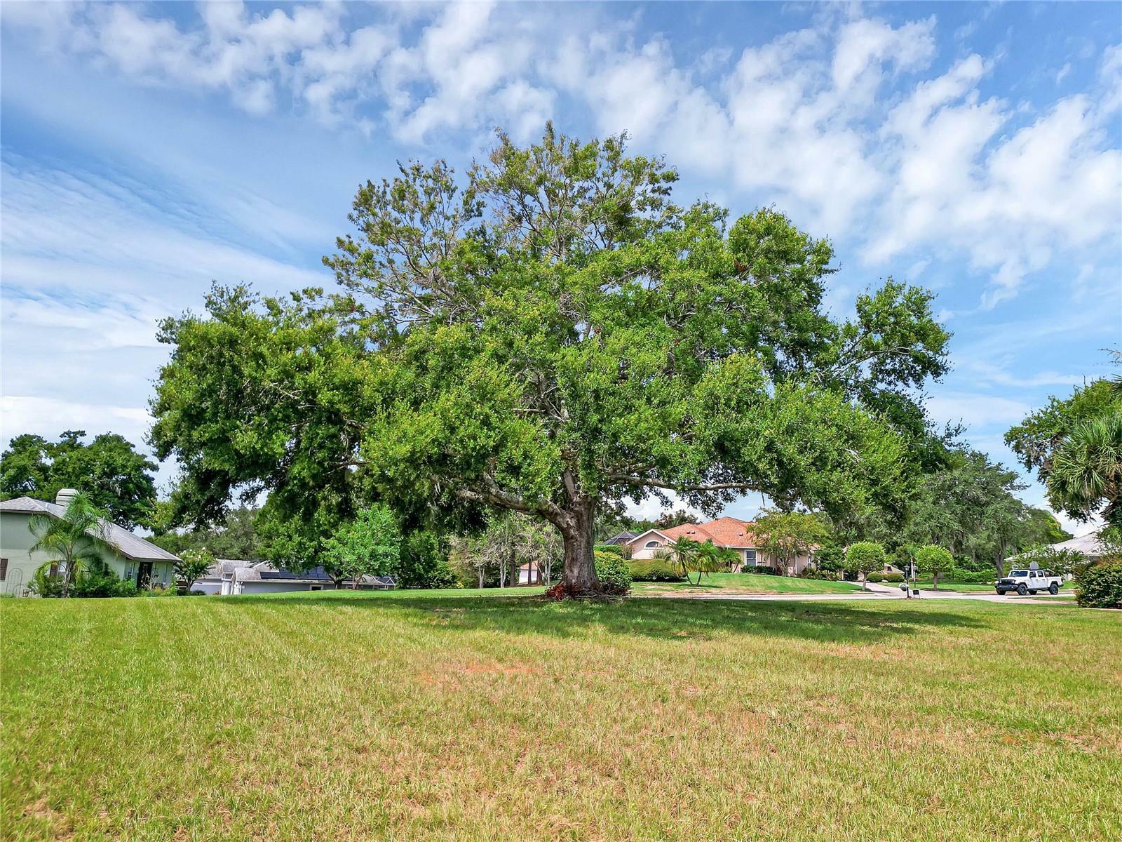 Property Photo:  Tacoma Drive  FL 32159 