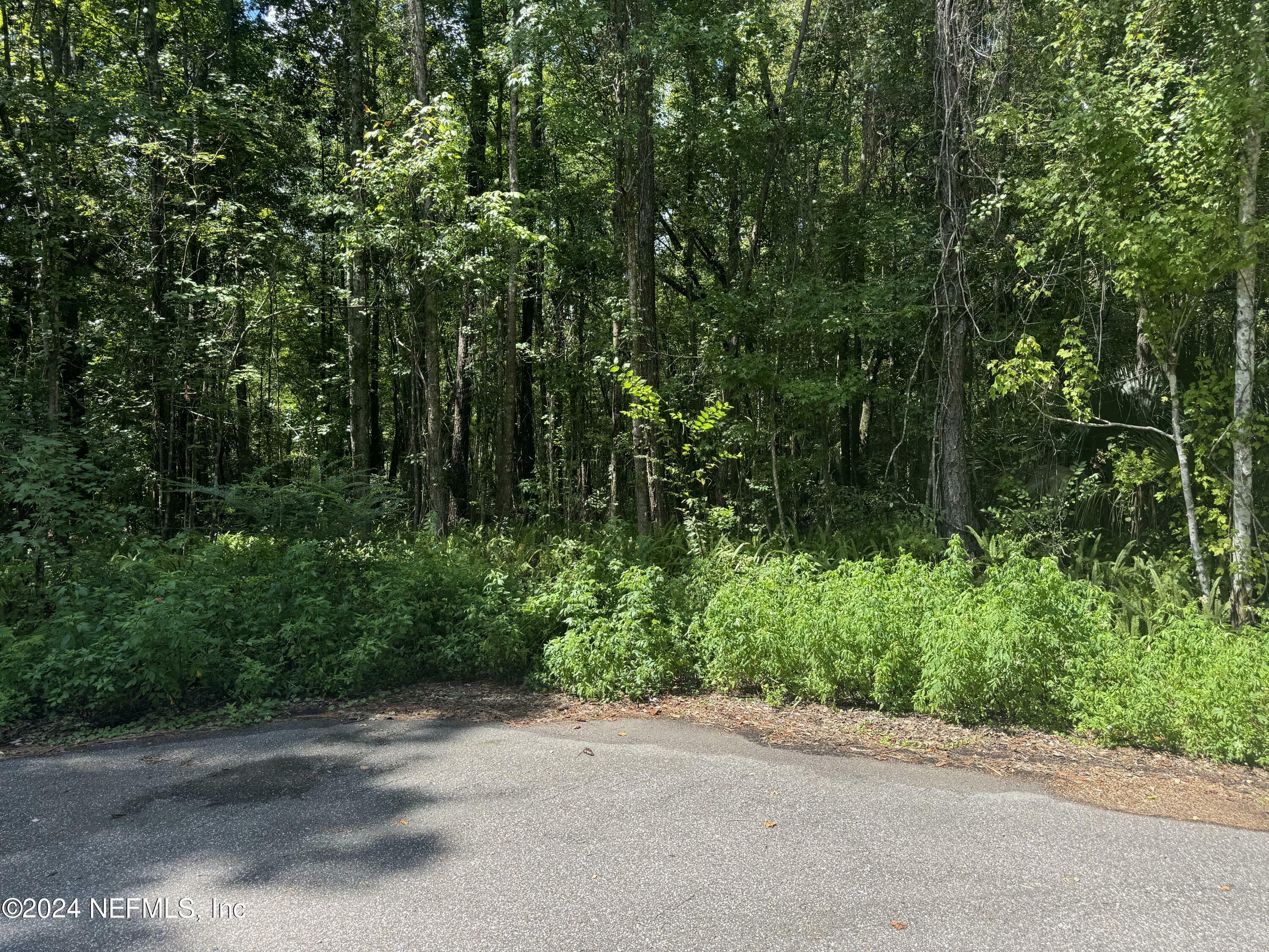 Property Photo:  0 Ranie Road  FL 32218 