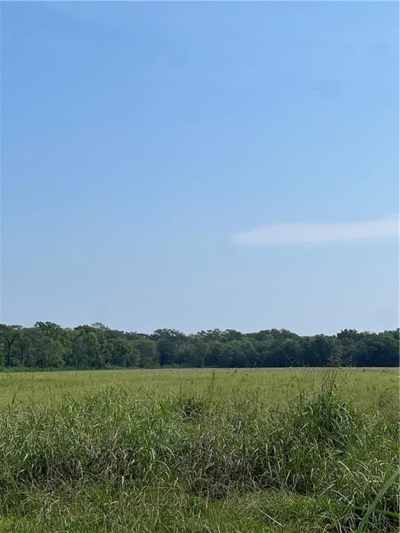 Property Photo:  00 Highway 495  LA 71416 