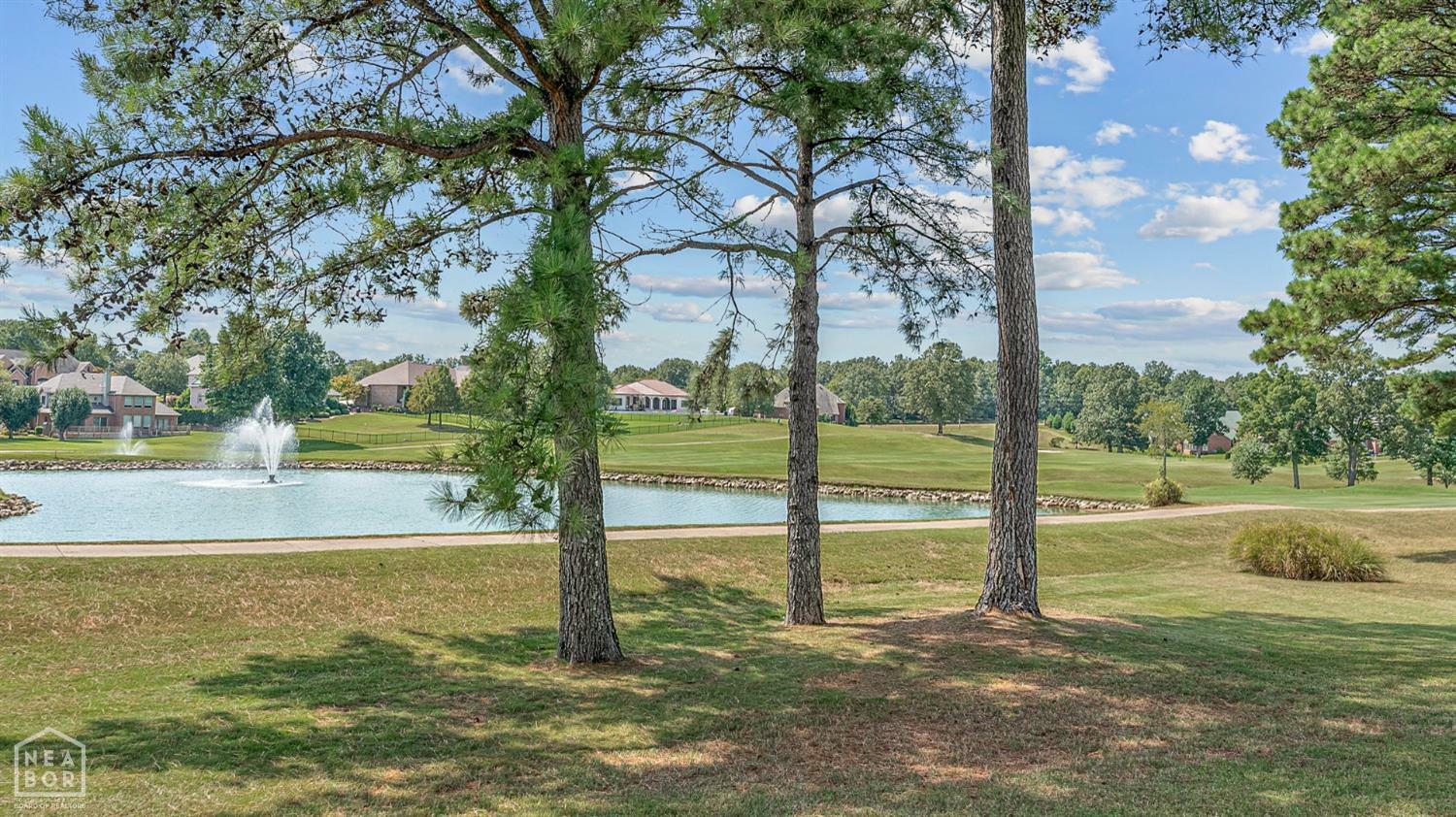 Property Photo:  3705 Sawgrass Drive  AR 72404 