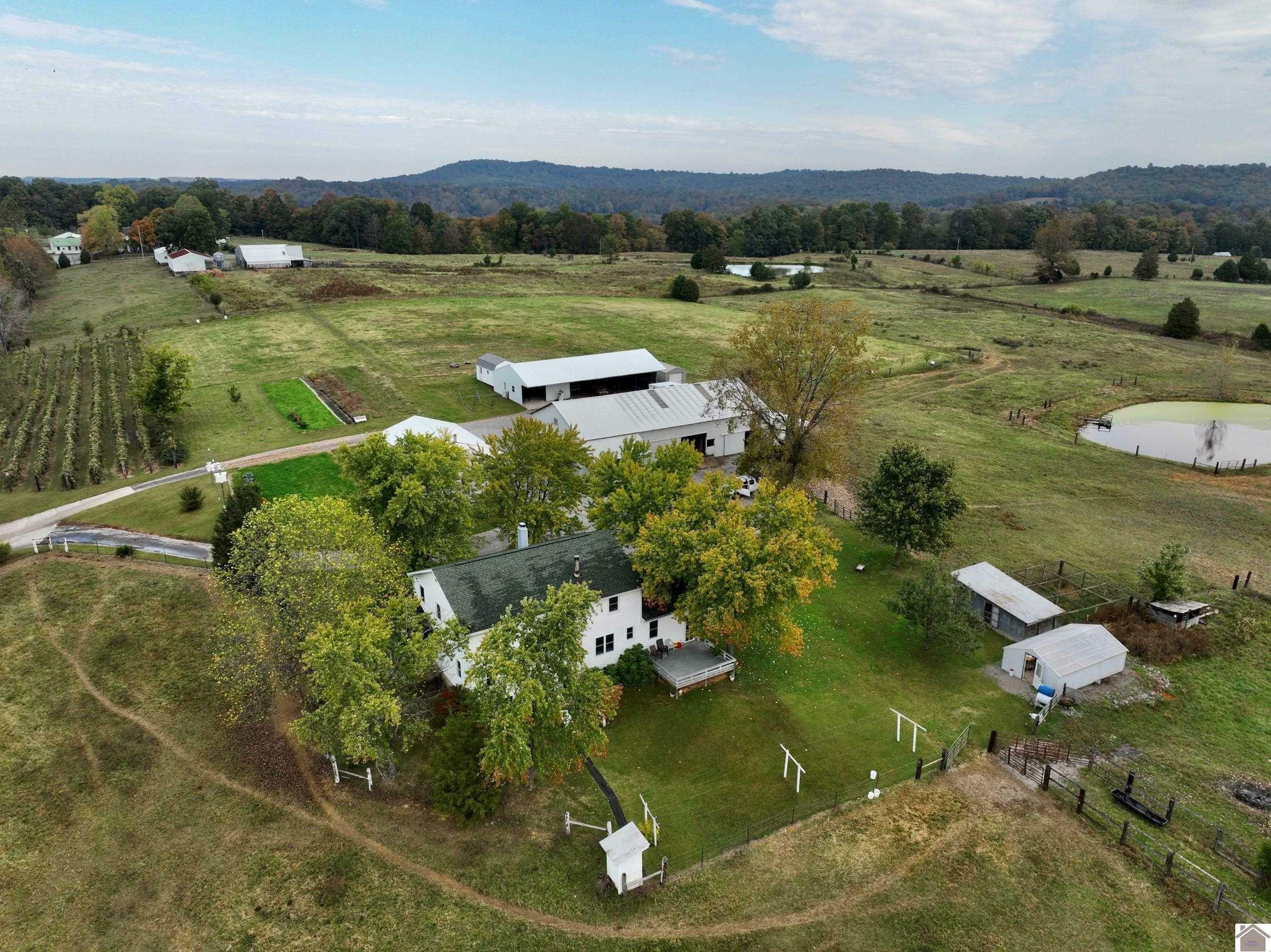 Property Photo:  184 Rooster Rd  KY 42064 