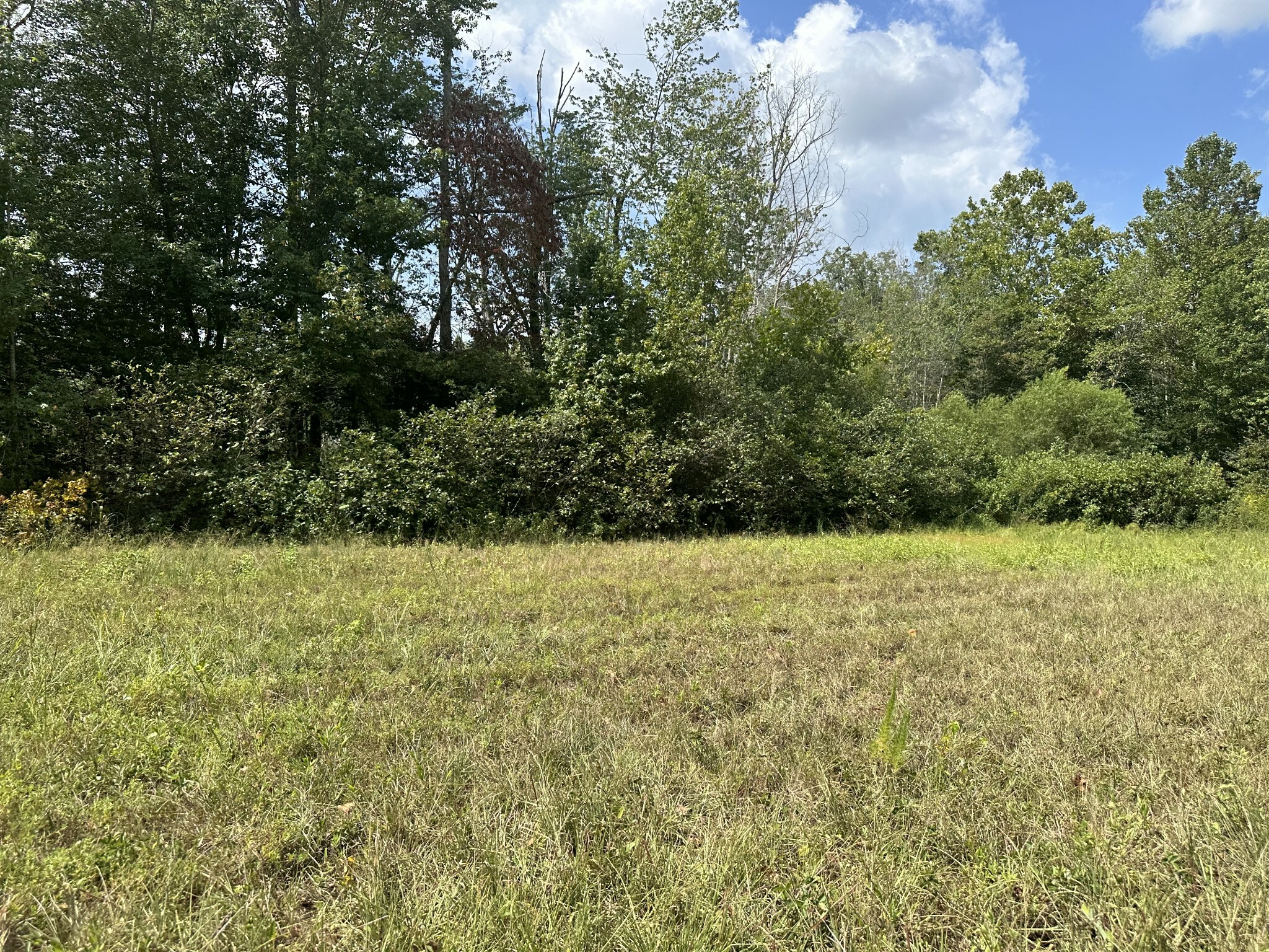 Property Photo:  194 Chief Creek Rd  TN 38464 