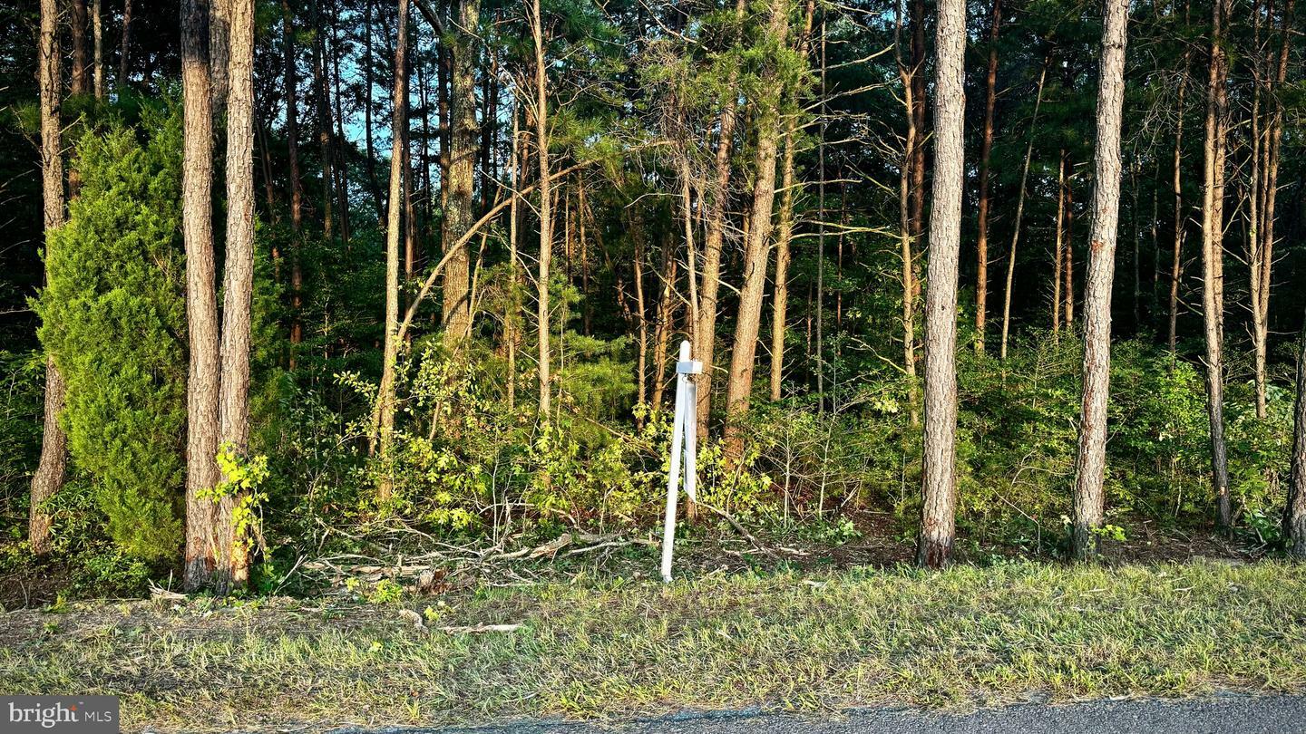 Property Photo:  Leedstown Road  VA 22443 