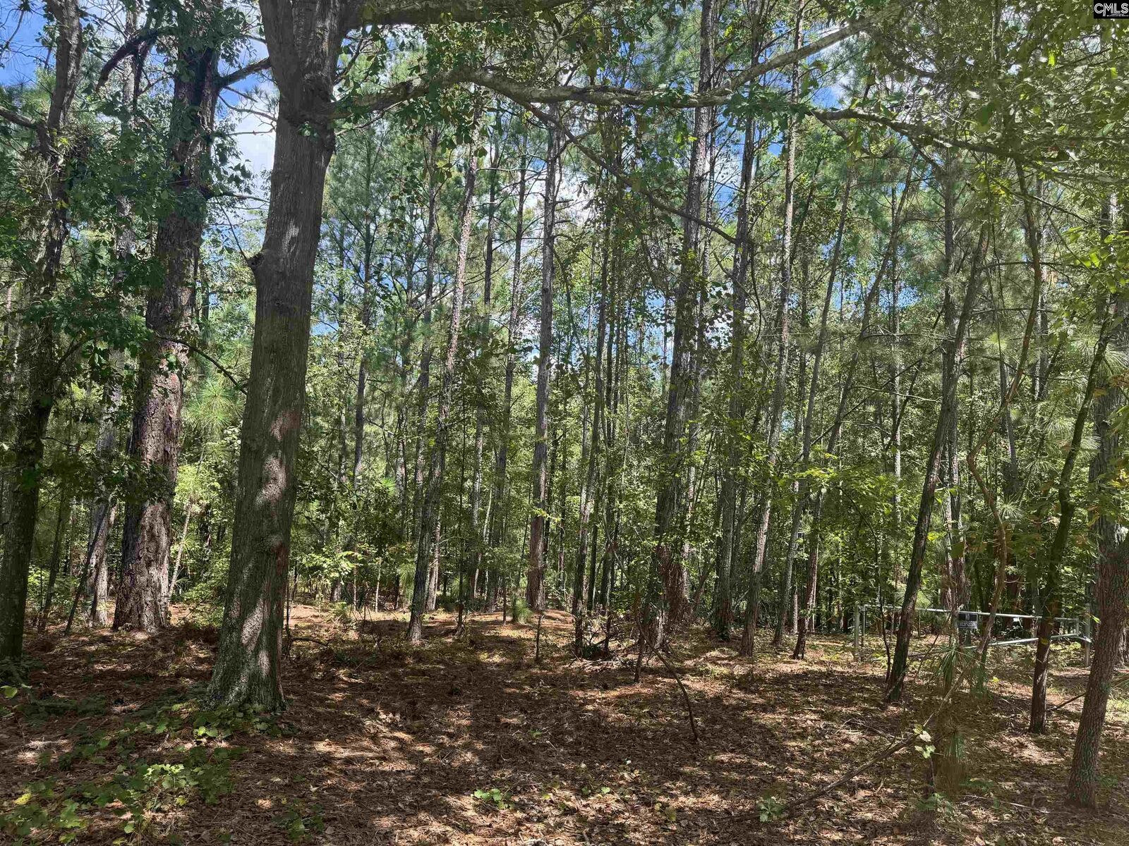 Property Photo: 191 Sweetwater SC 29061