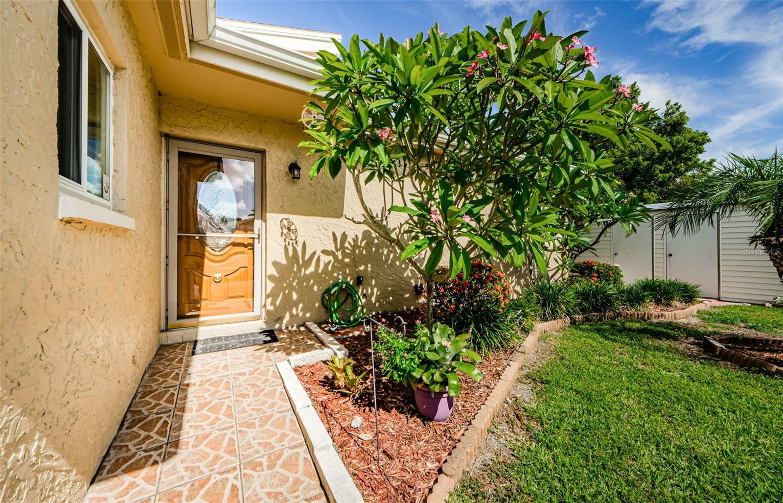 Property Photo:  1591 Amberlea Drive S  FL 34698 