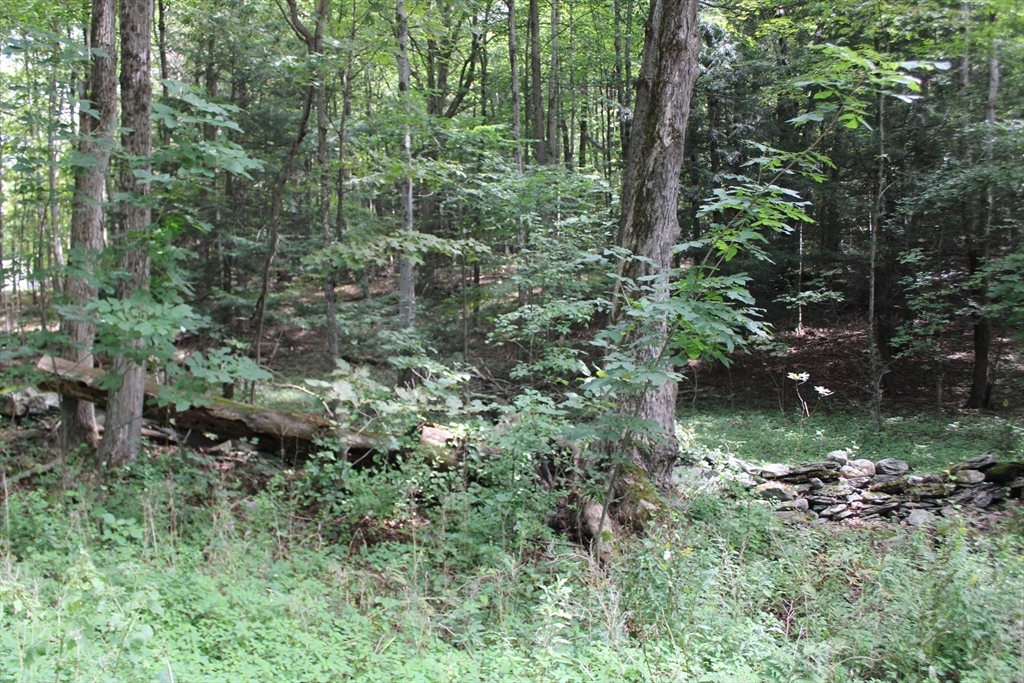 Property Photo:  0 North County Rd  MA 01337 