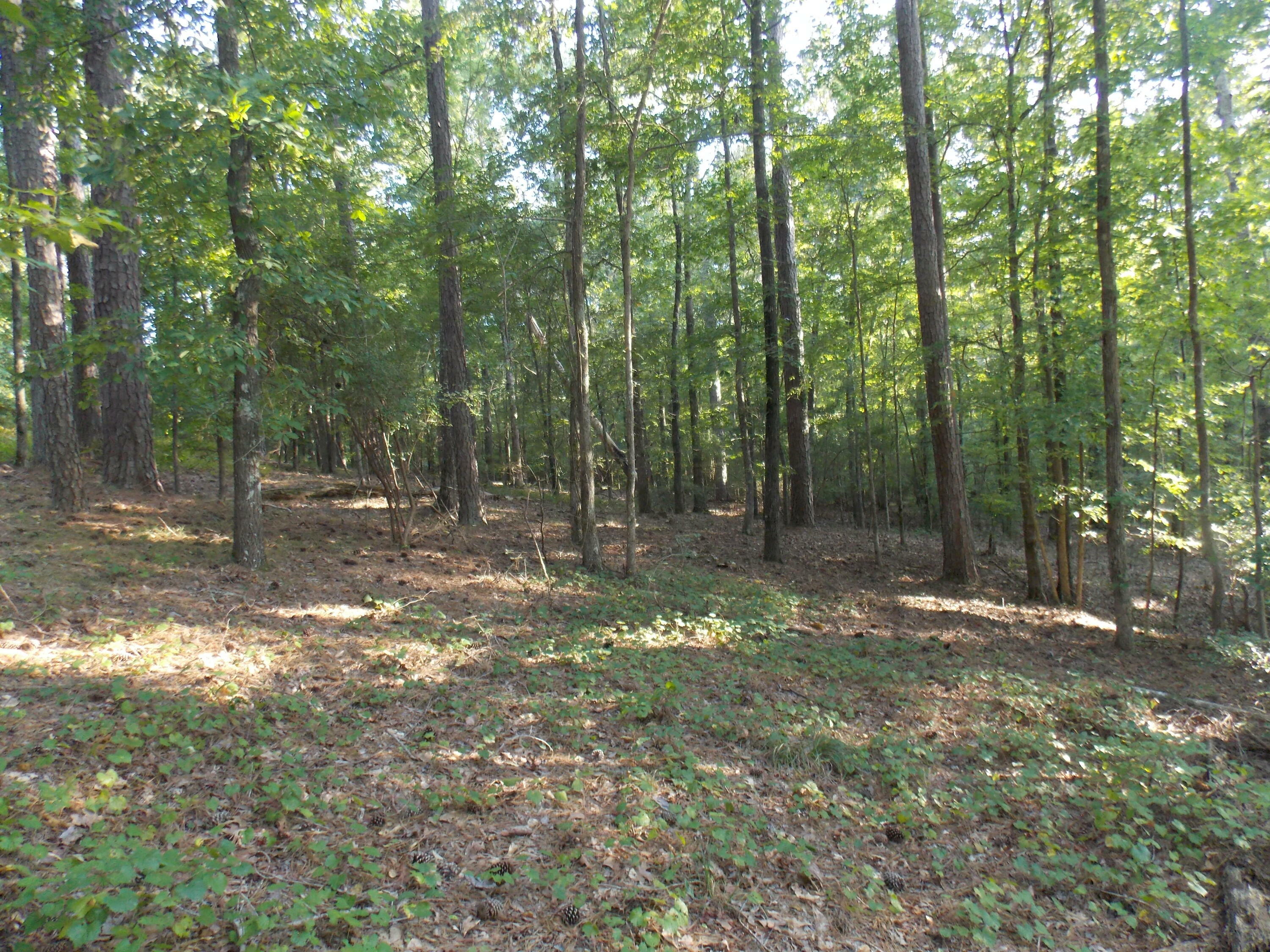 Property Photo:  22 Westwind Harbour Rd  GA 30817 