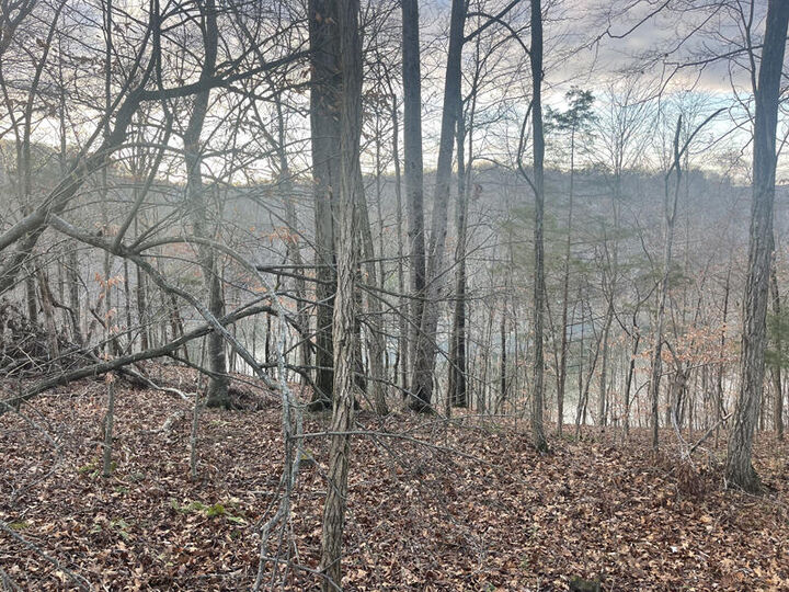 Lot 82 Pleasant View  Nancy KY 42544 photo