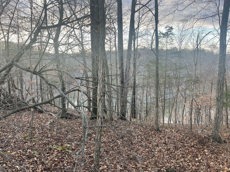 Property Photo:  Lot 82 Pleasant View  KY 42544 