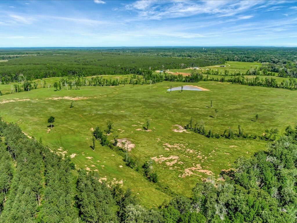 Property Photo:  3103 Cheeseland Road  TX 75969 