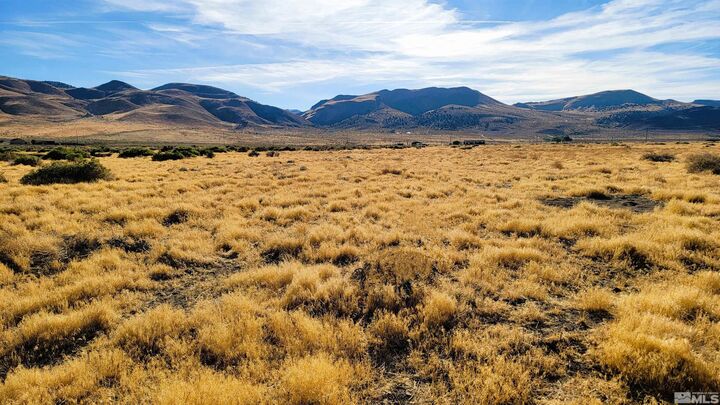 Property Photo: 40 Acr Sharrock Road NV 89510