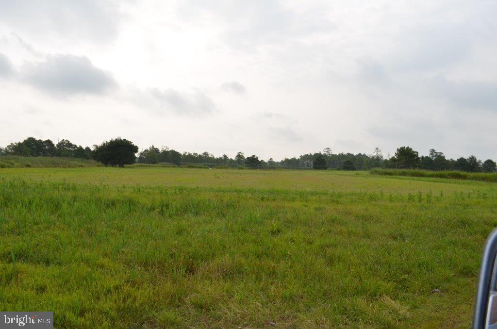 Property Photo: Decoursey Bridge Road MD 21613