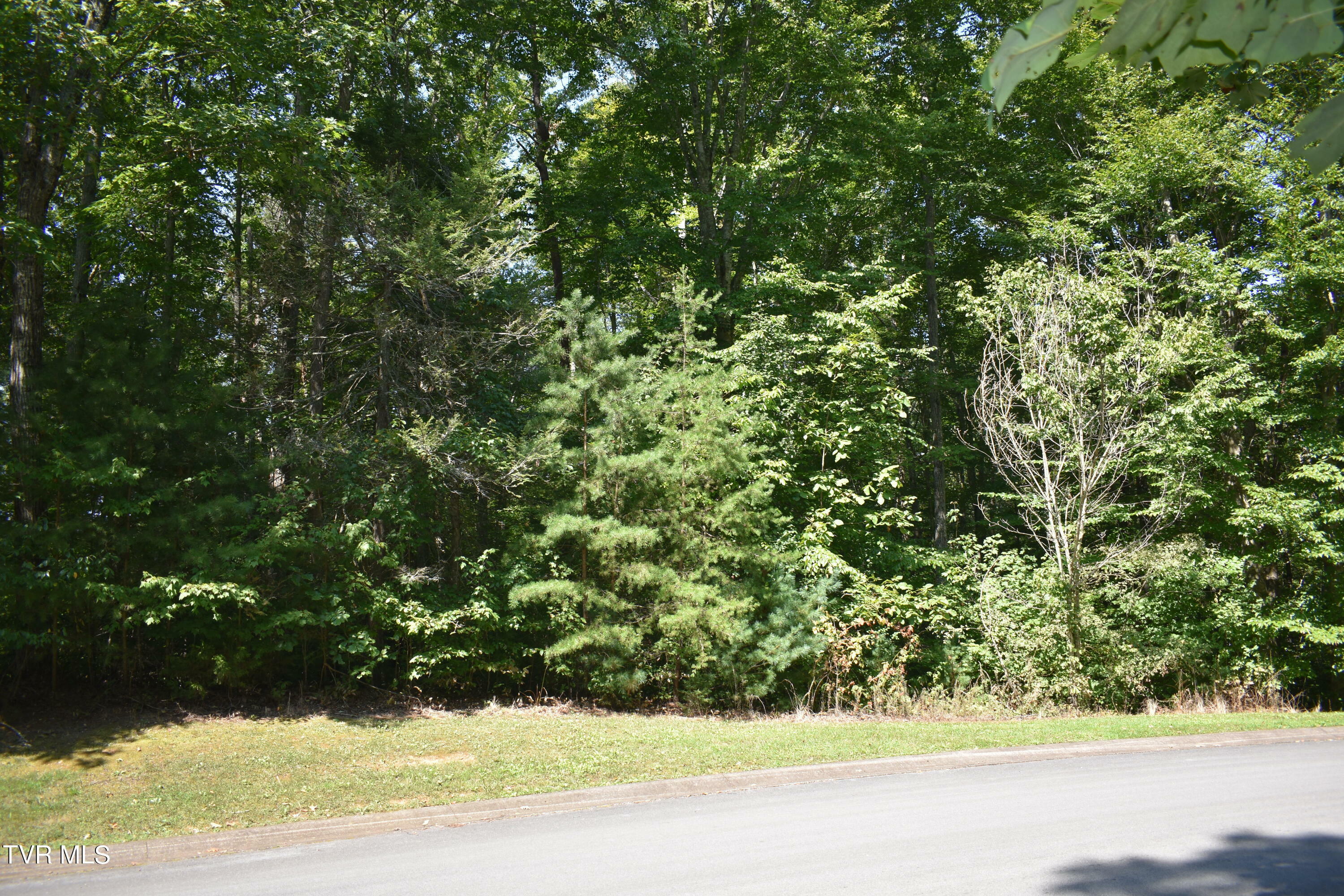 Property Photo:  Lot 2 & 3 River Pointe Drive  TN 37743 