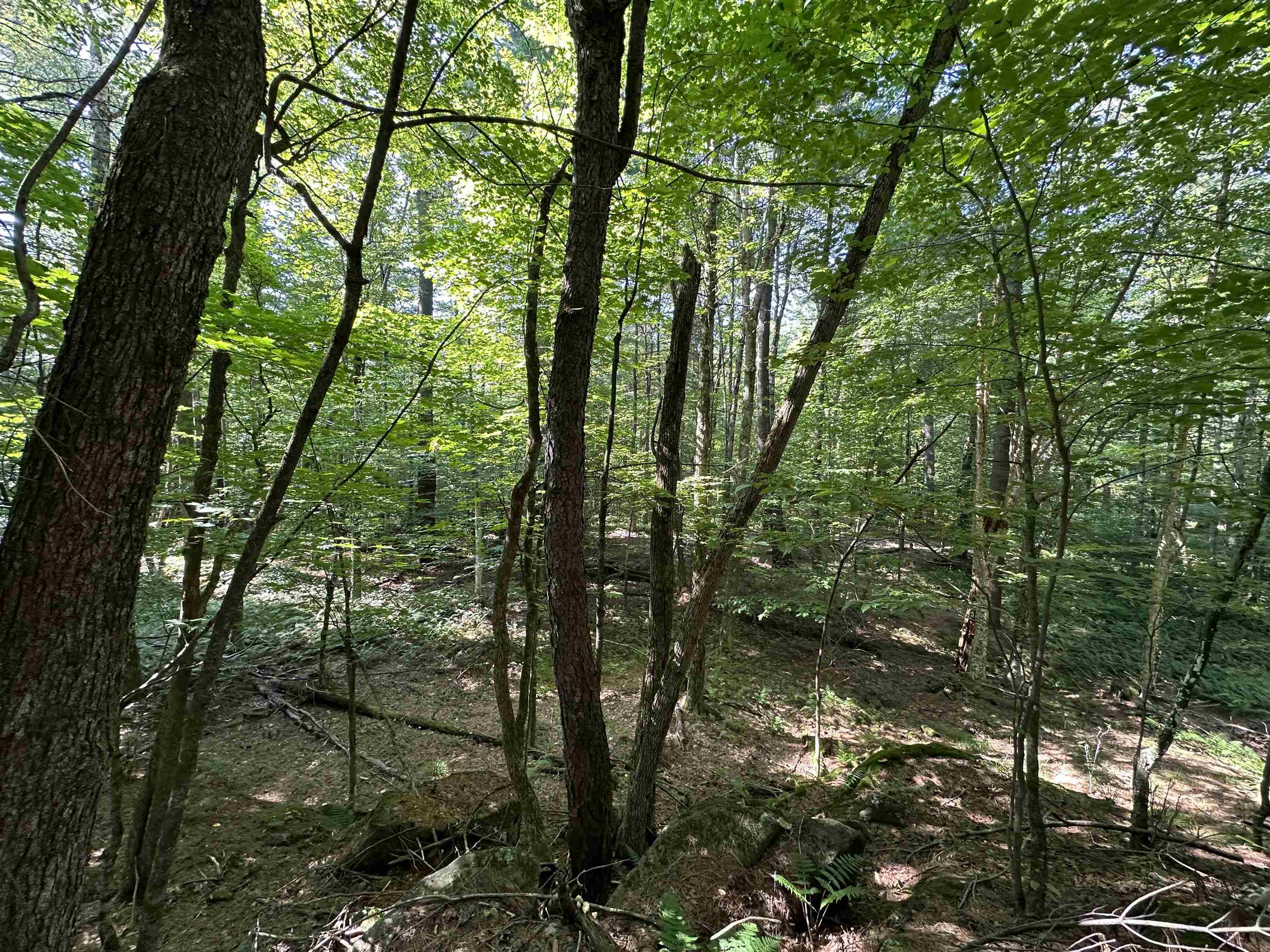 Property Photo:  00 Wilson Road  NY 13625 