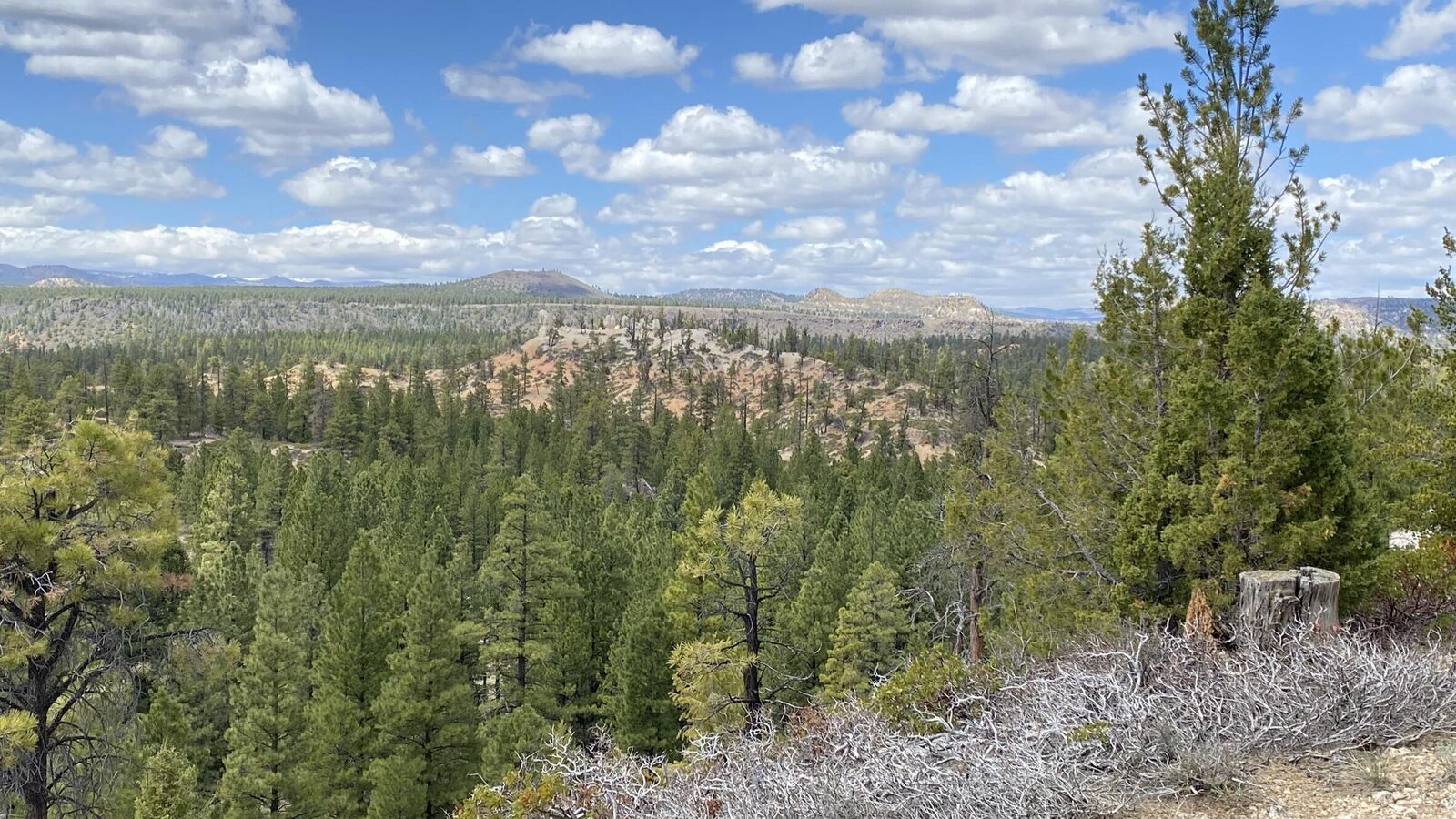 Property Photo:  14 N Royal Drive  UT 84762 
