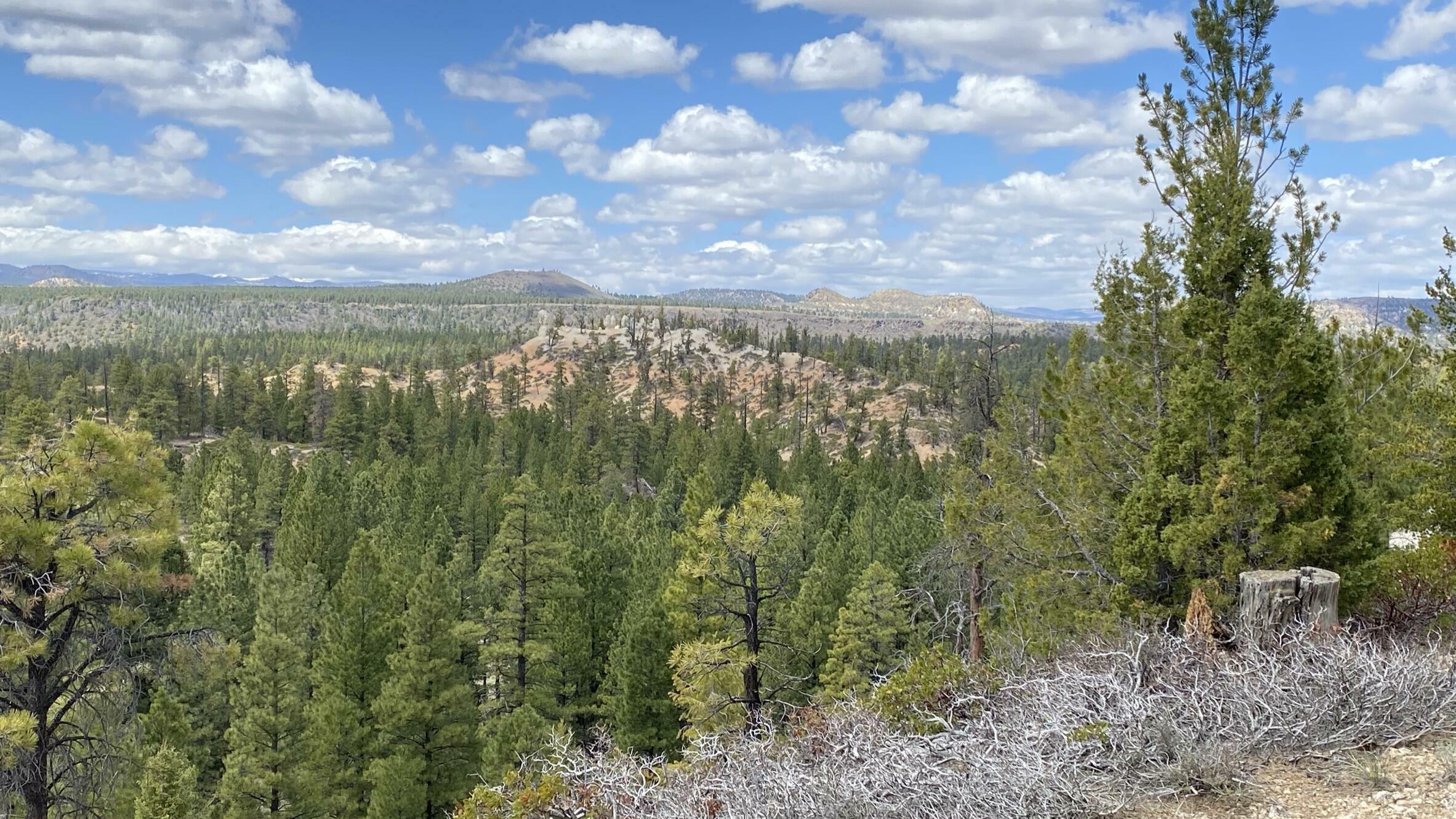 Property Photo: 14 N Royal Drive UT 84762