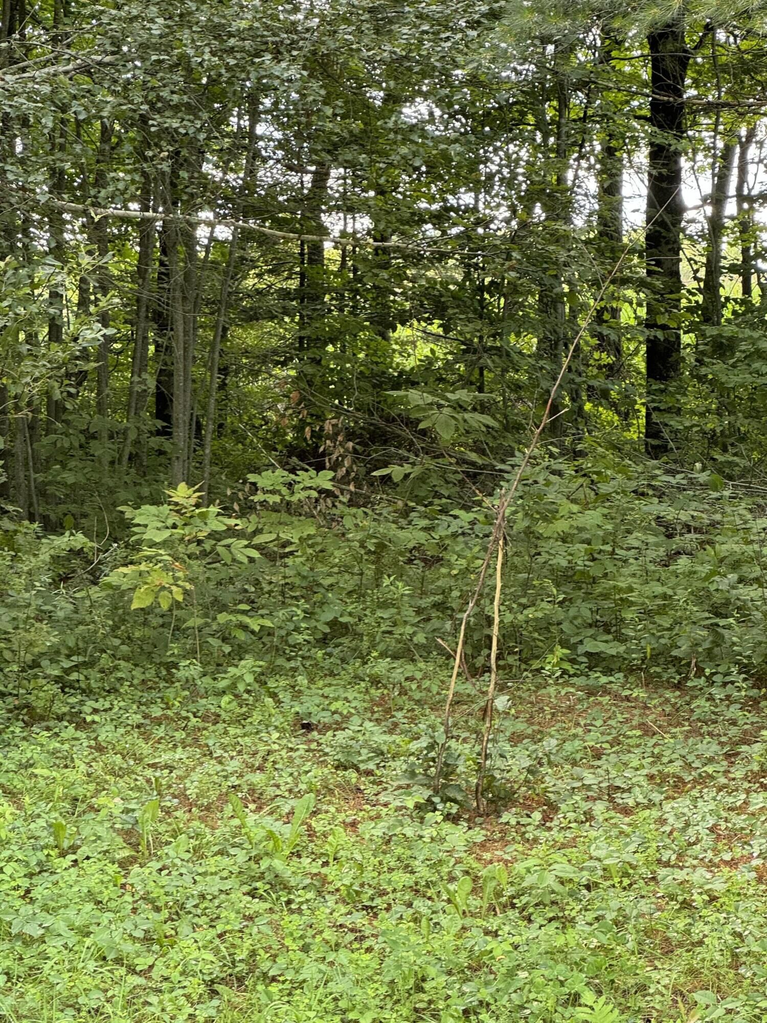 Property Photo:  Map 13 Wilson Road  ME 04967 