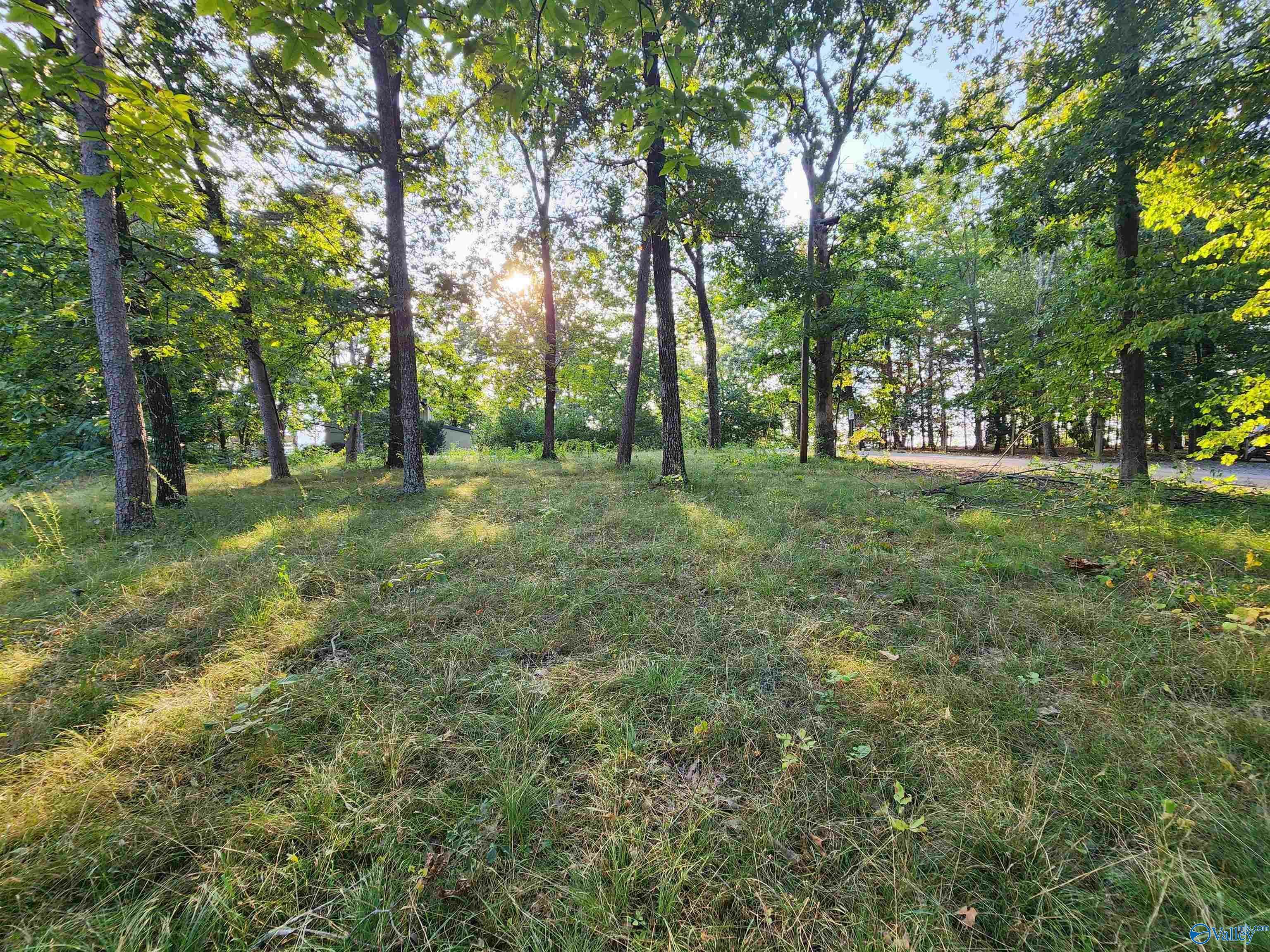 Property Photo:  Lot #1,2,13,14, North Cool Street  AL 35984 