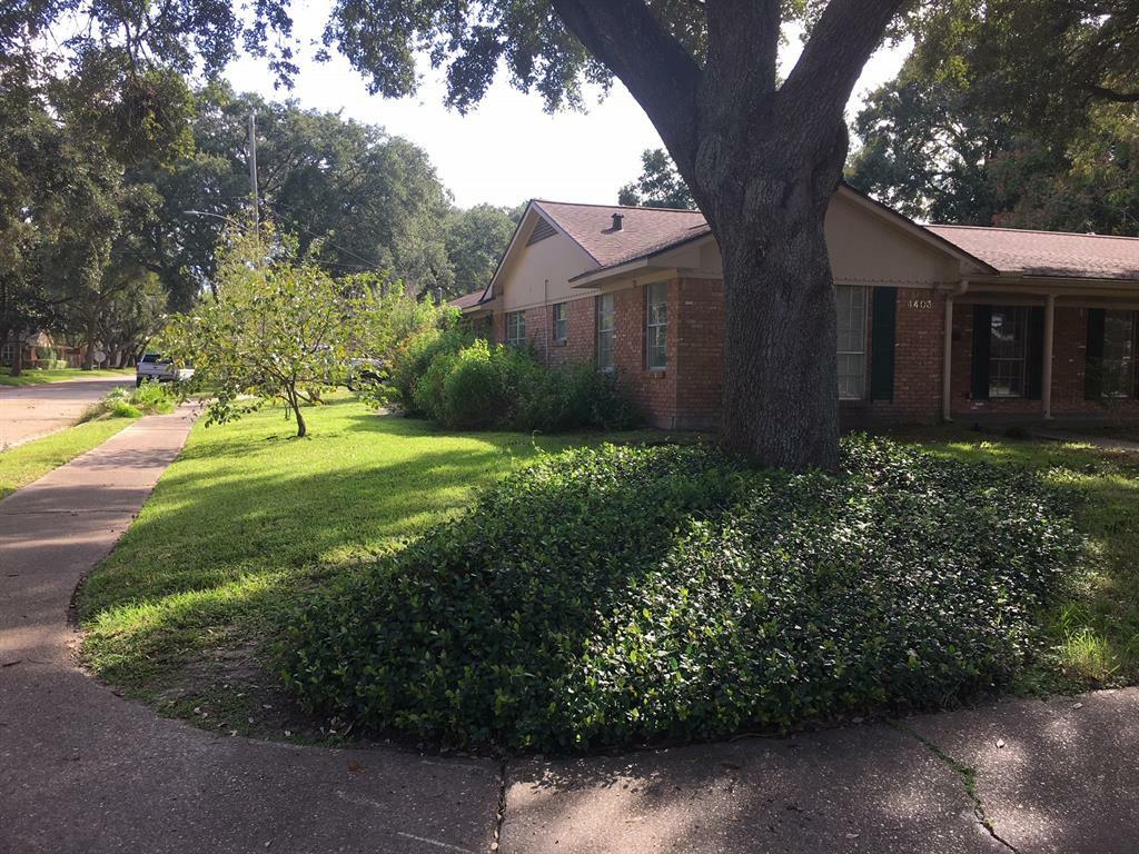 Property Photo:  4403 Omeara Drive  TX 77035 